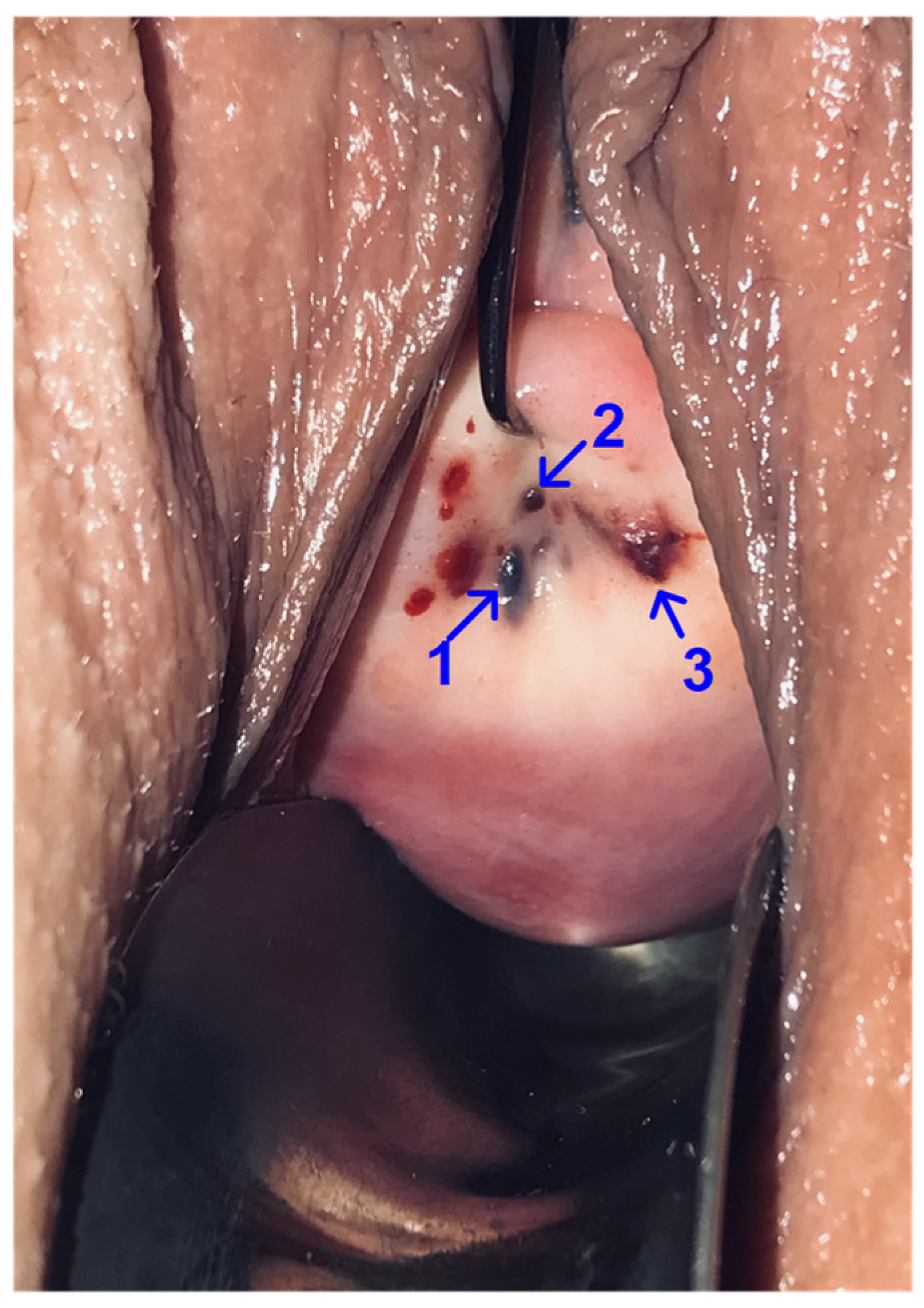 Ijms 24 02184 g001 Ijms 24 02184 g001