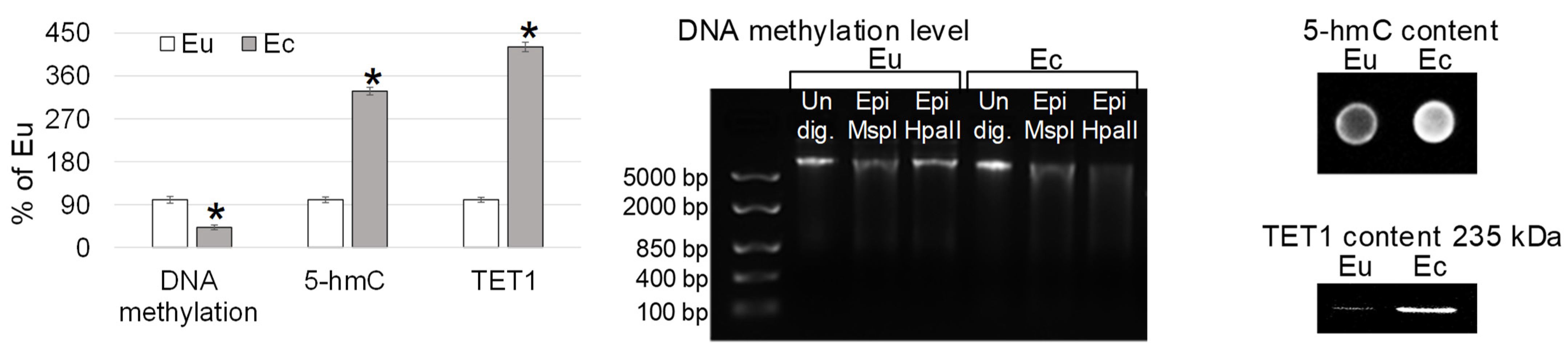Ijms 24 02184 g004 Ijms 24 02184 g004