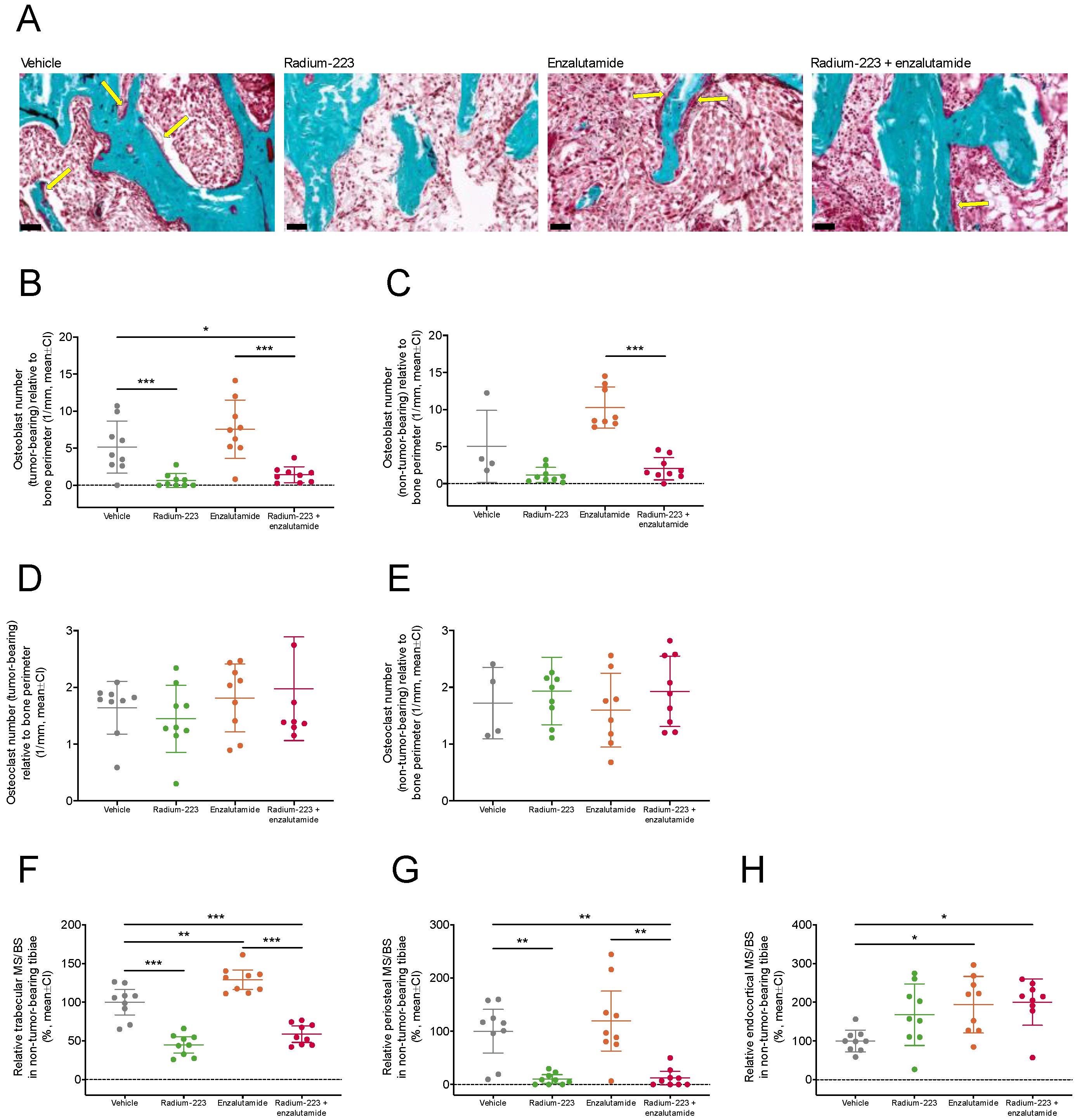 Ijms 24 02189 g005 Ijms 24 02189 g005