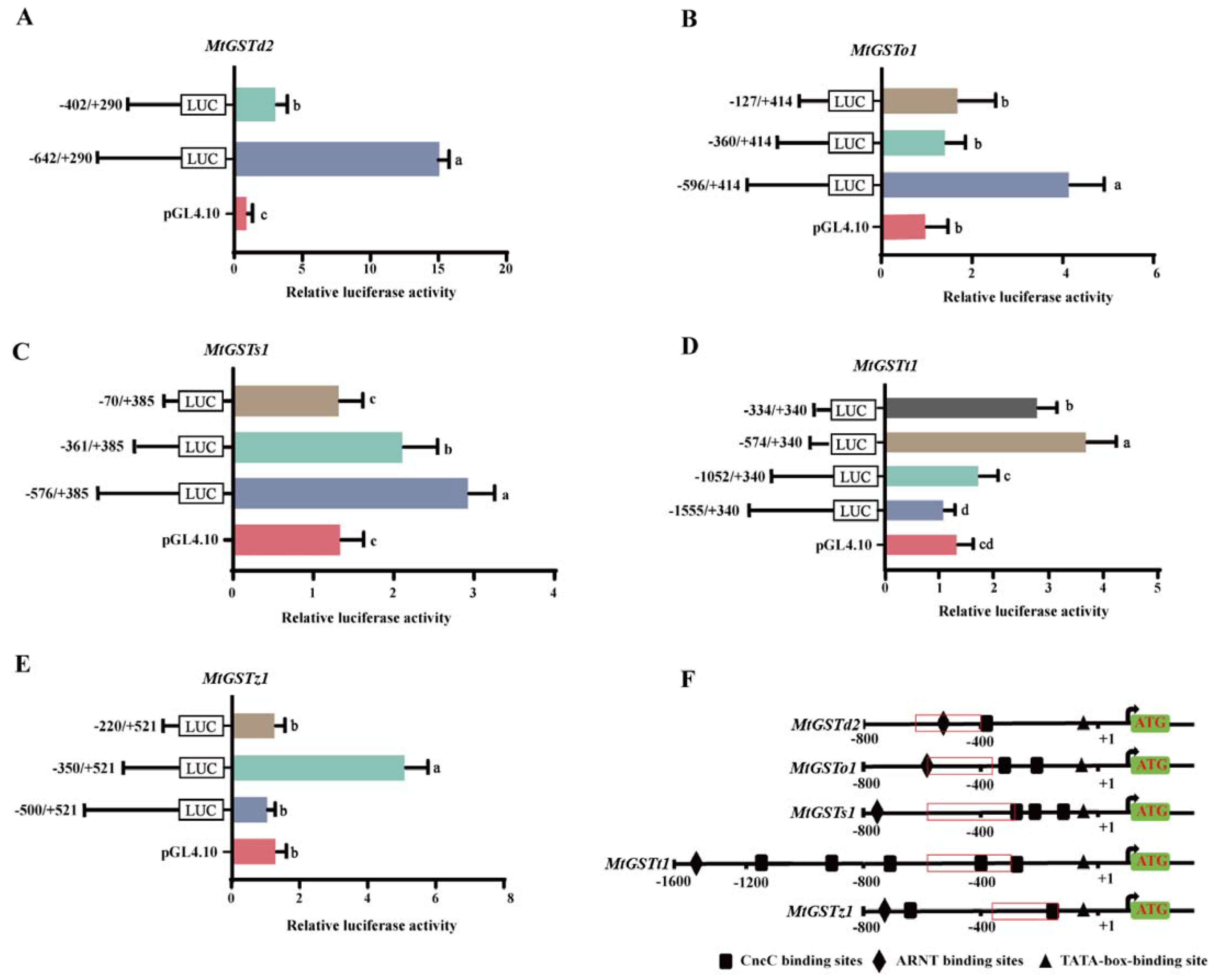 Ijms 24 02190 g001 Ijms 24 02190 g001
