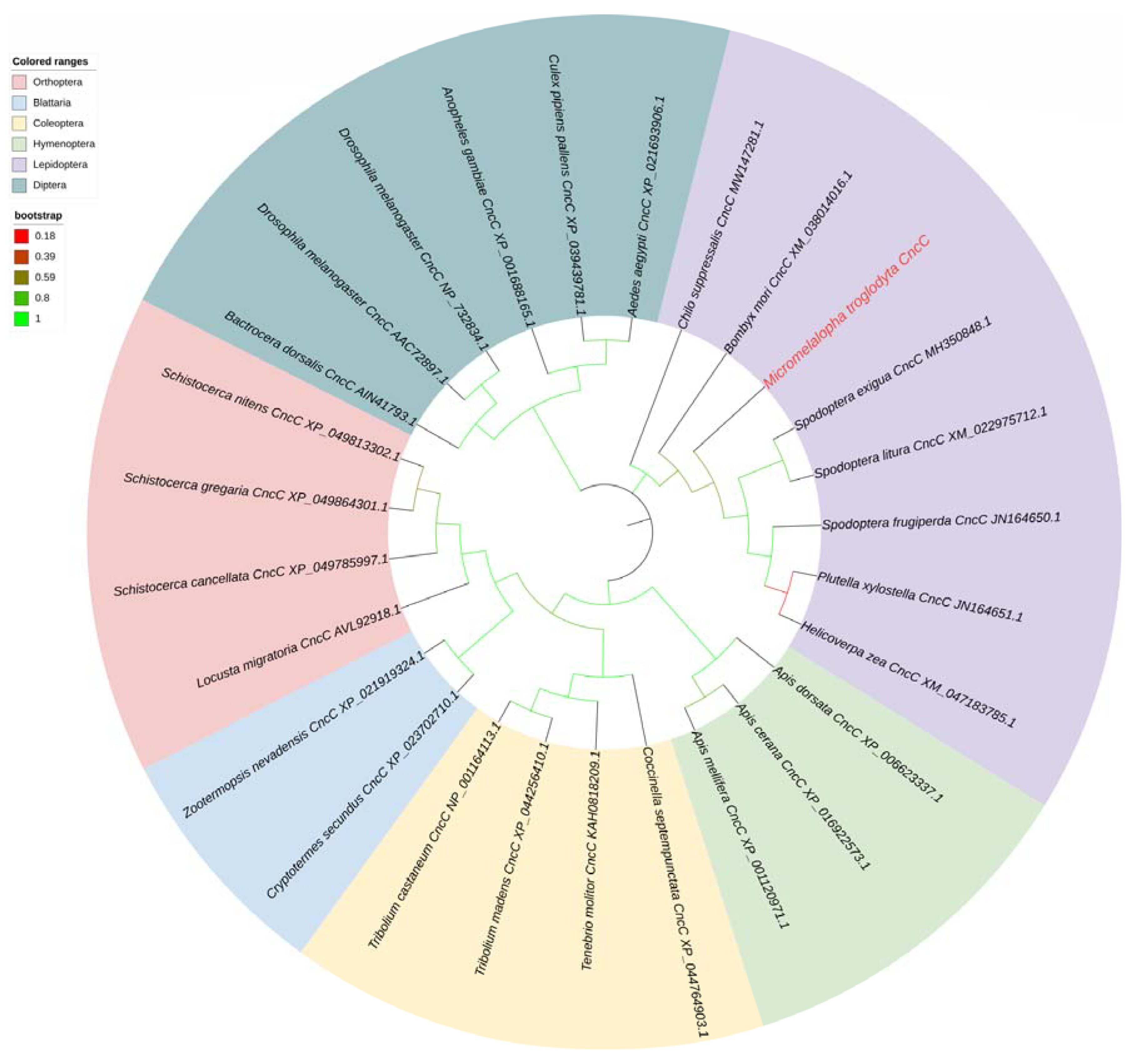 Ijms 24 02190 g004 Ijms 24 02190 g004