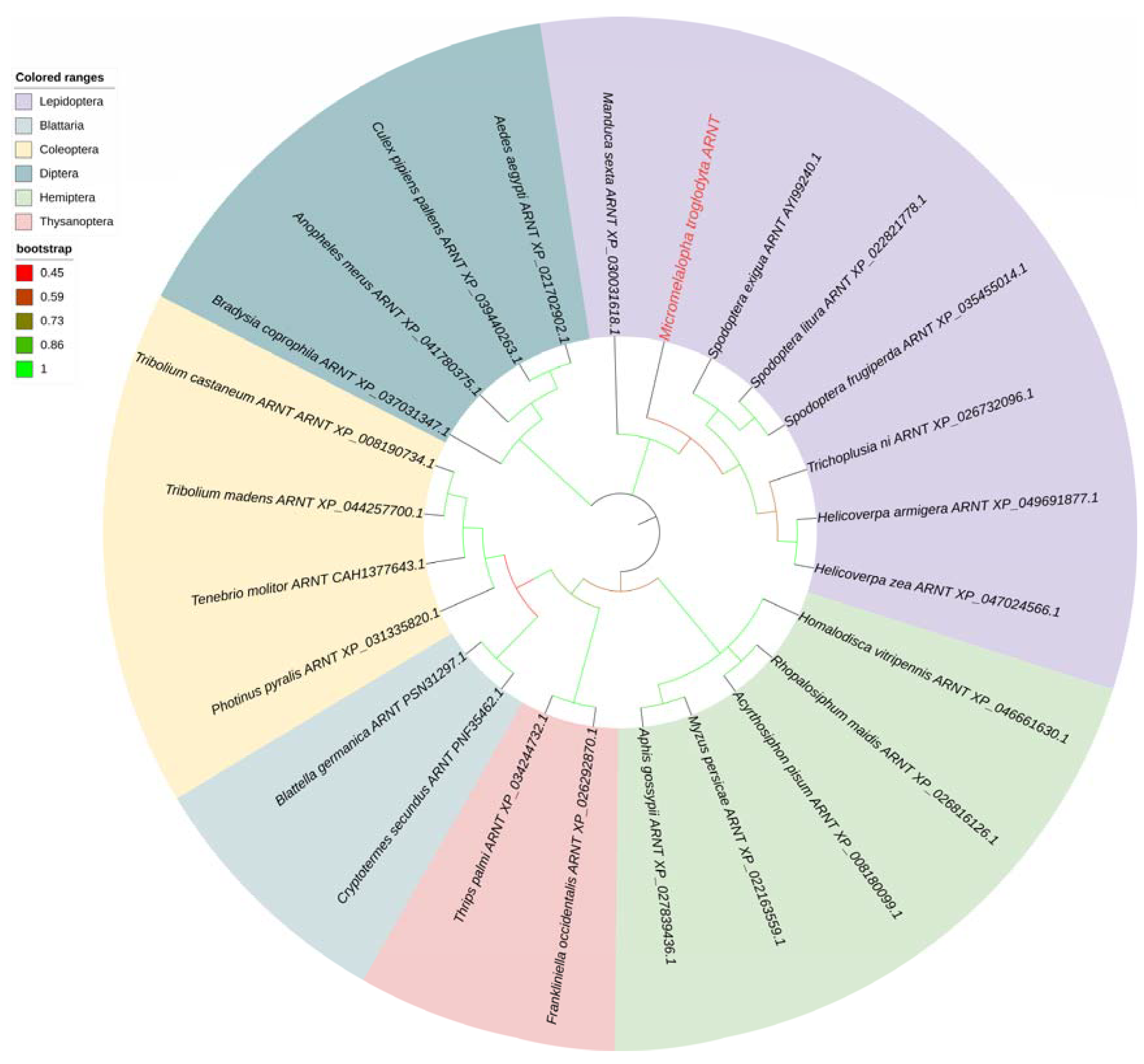Ijms 24 02190 g005 Ijms 24 02190 g005