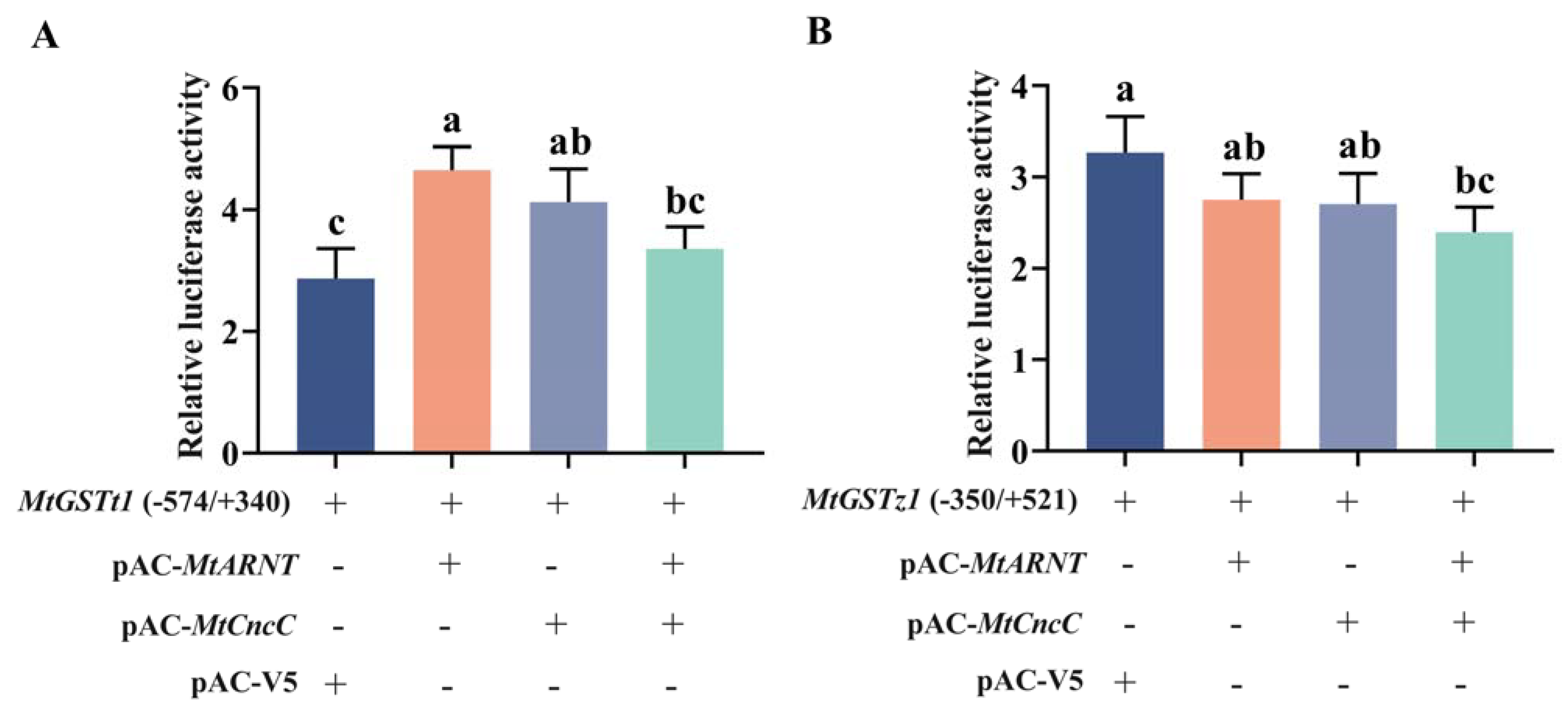 Ijms 24 02190 g006 Ijms 24 02190 g006