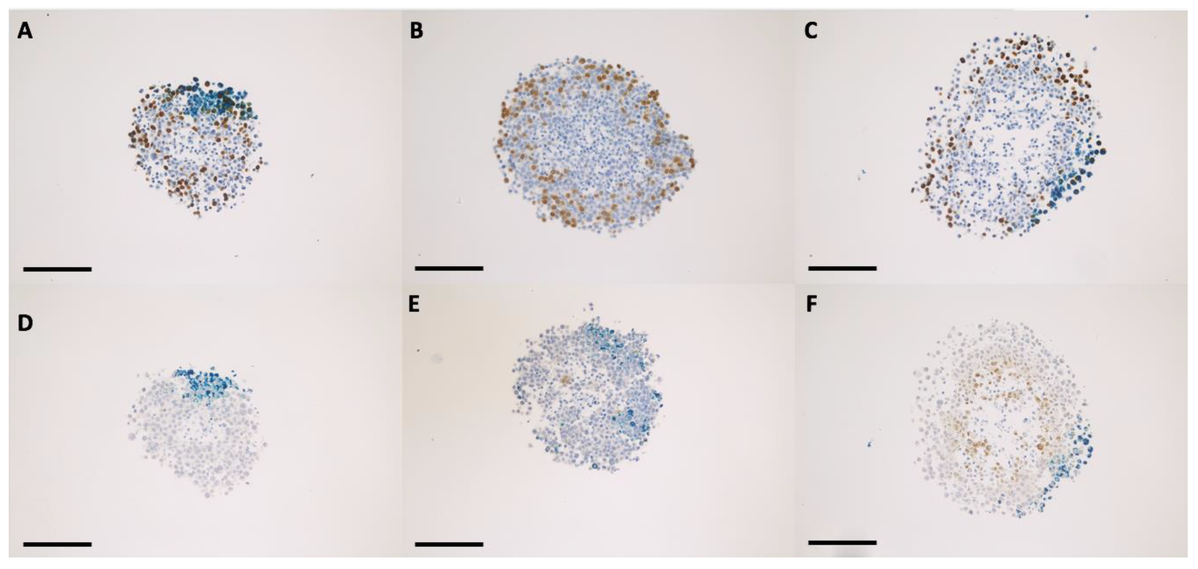 Ijms 24 02198 g004 Ijms 24 02198 g004