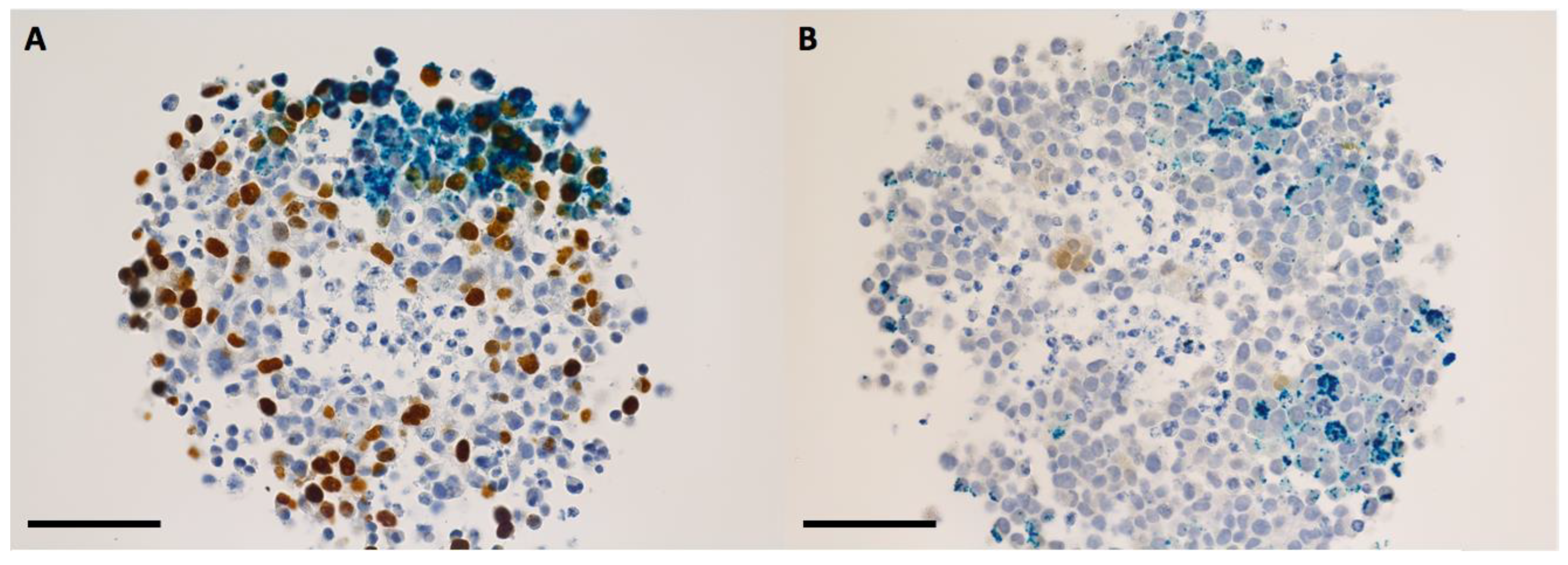 Ijms 24 02198 g006 Ijms 24 02198 g006