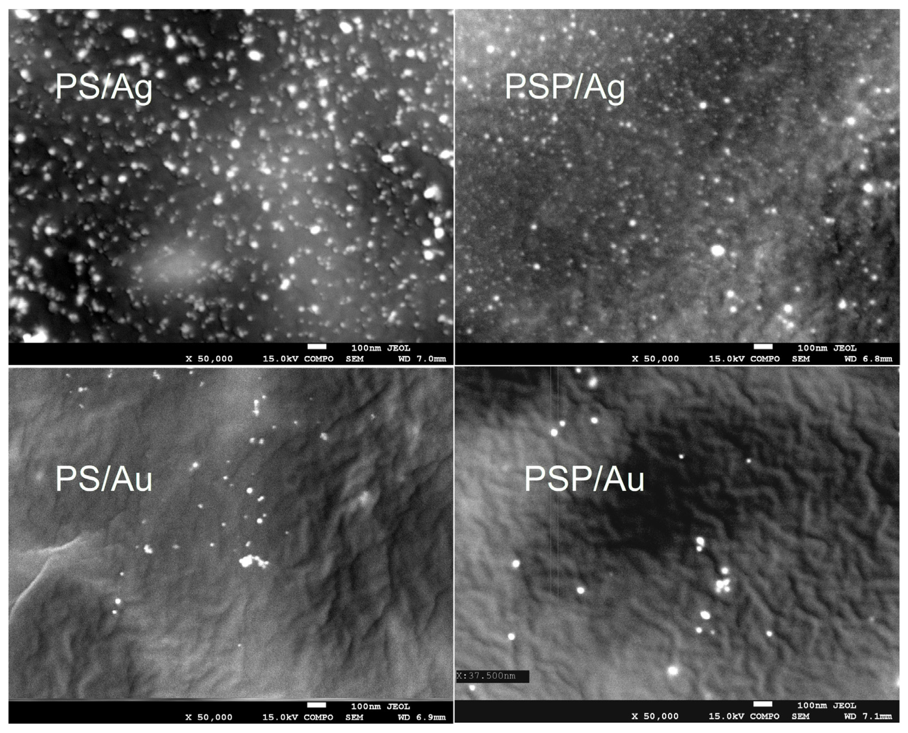 Ijms 24 02200 g003 Ijms 24 02200 g003