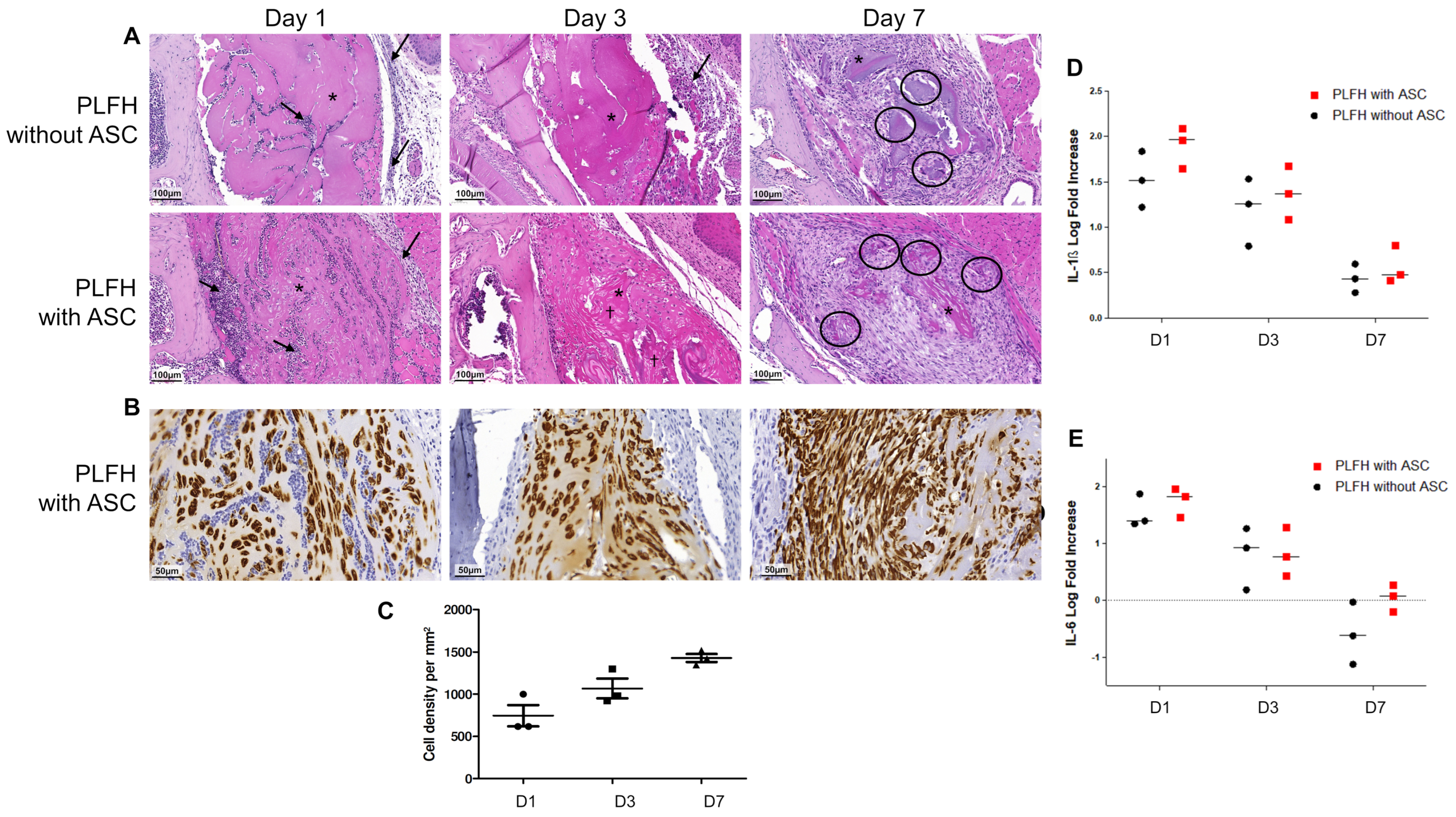 Ijms 24 02206 g006 Ijms 24 02206 g006
