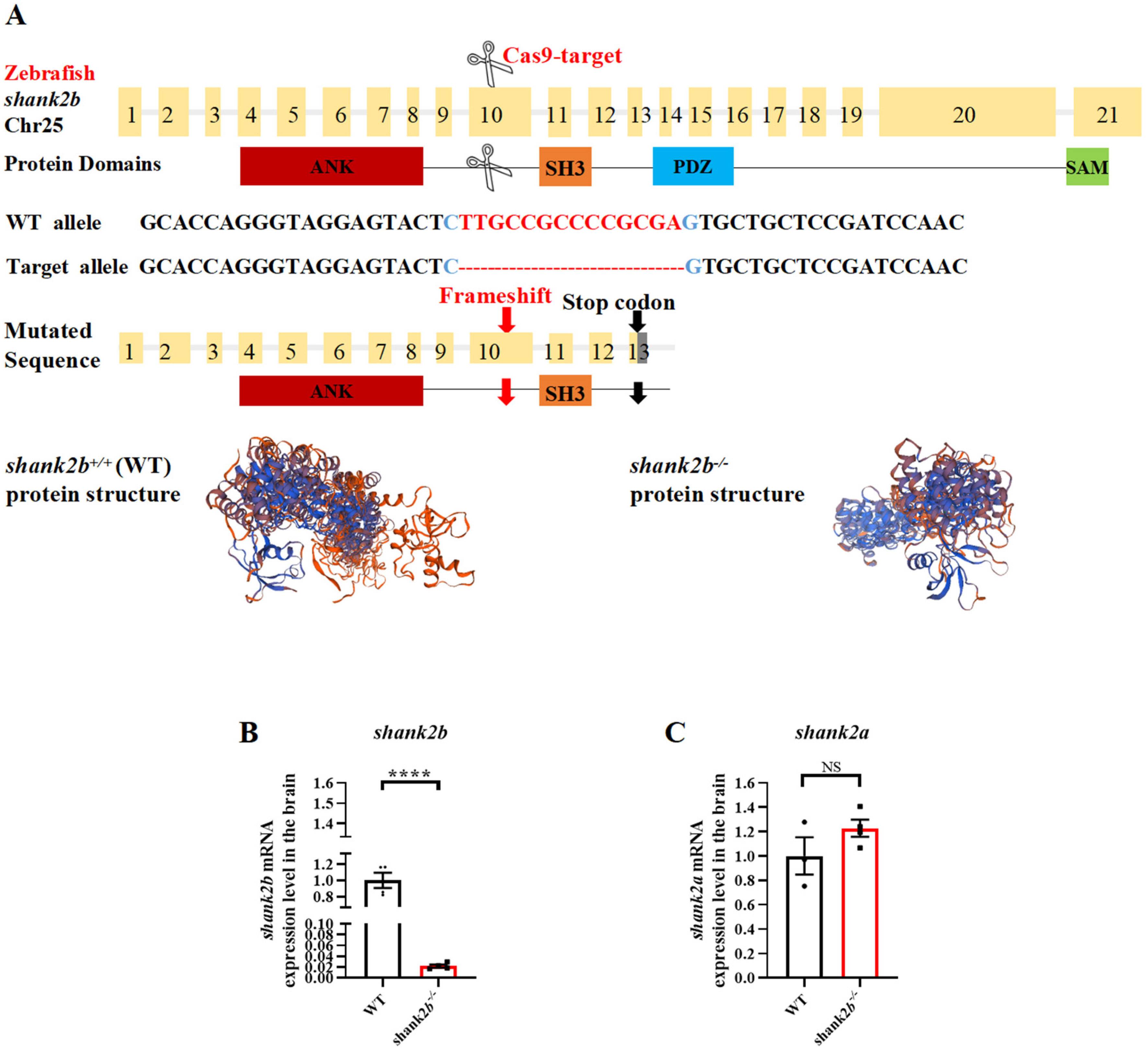 Ijms 24 02208 g001 Ijms 24 02208 g001