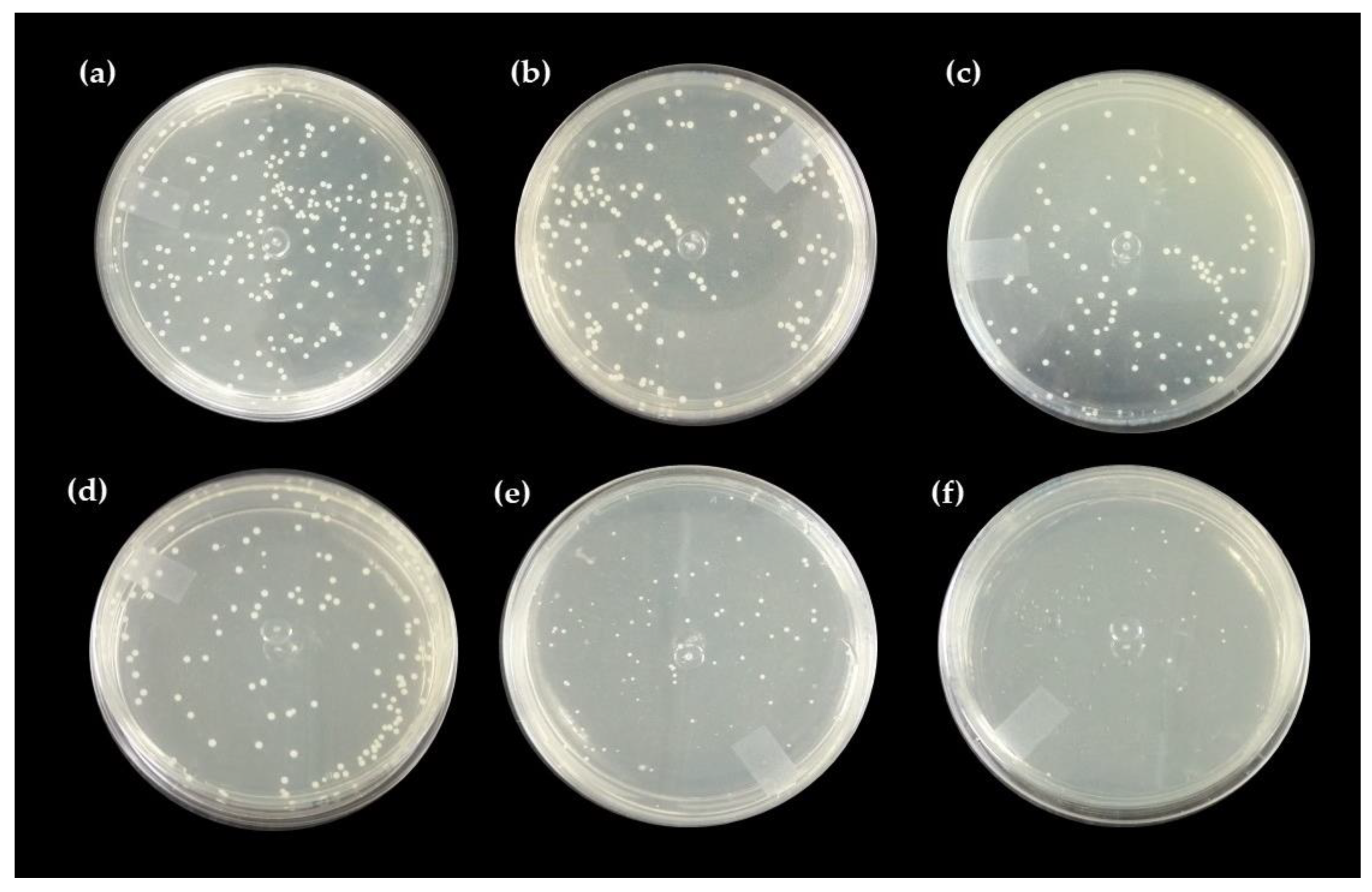 Ijms 24 02210 g005 Ijms 24 02210 g005