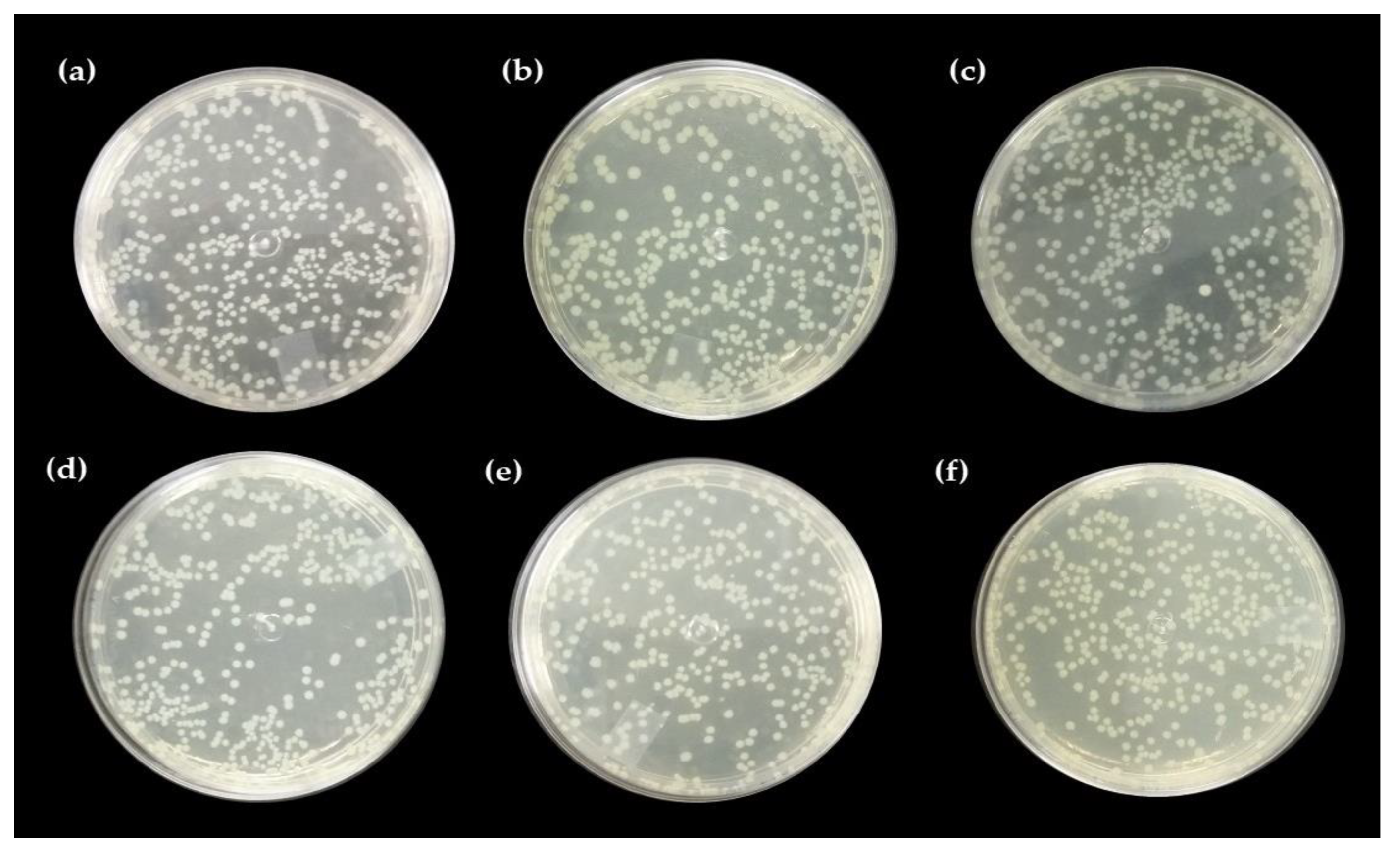 Ijms 24 02210 g006 Ijms 24 02210 g006