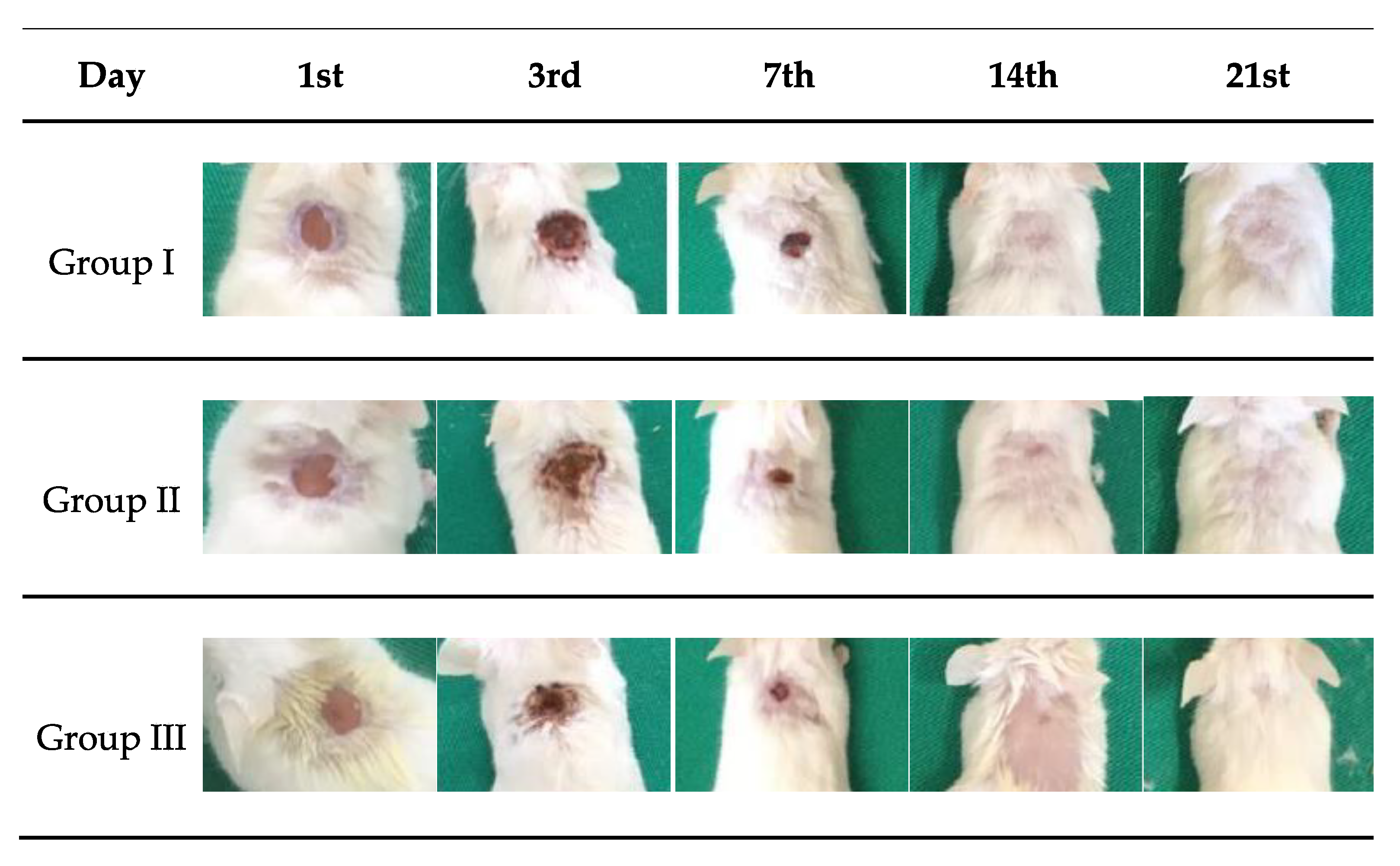 Ijms 24 02210 g007 Ijms 24 02210 g007