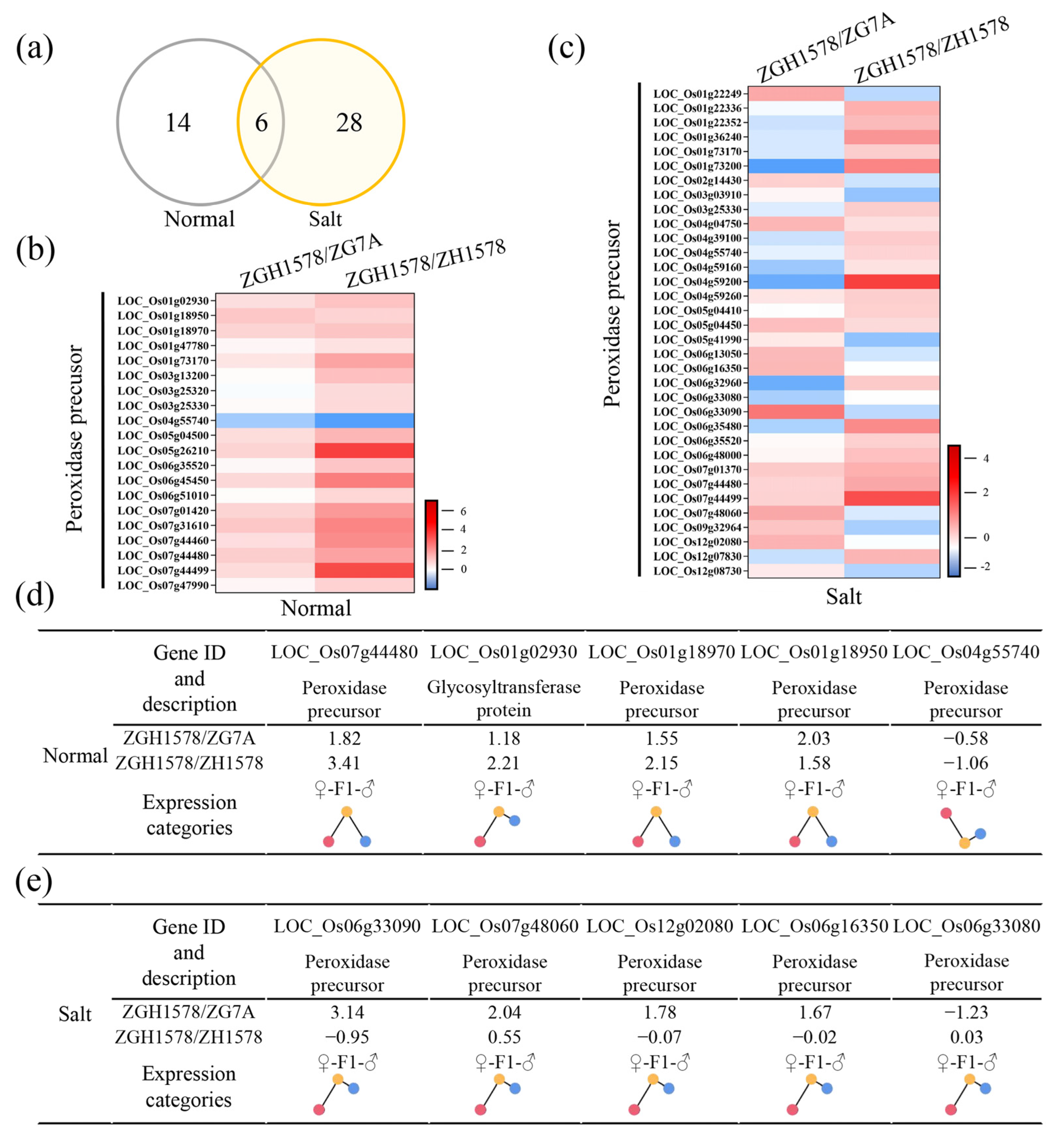 Ijms 24 02212 g006 Ijms 24 02212 g006