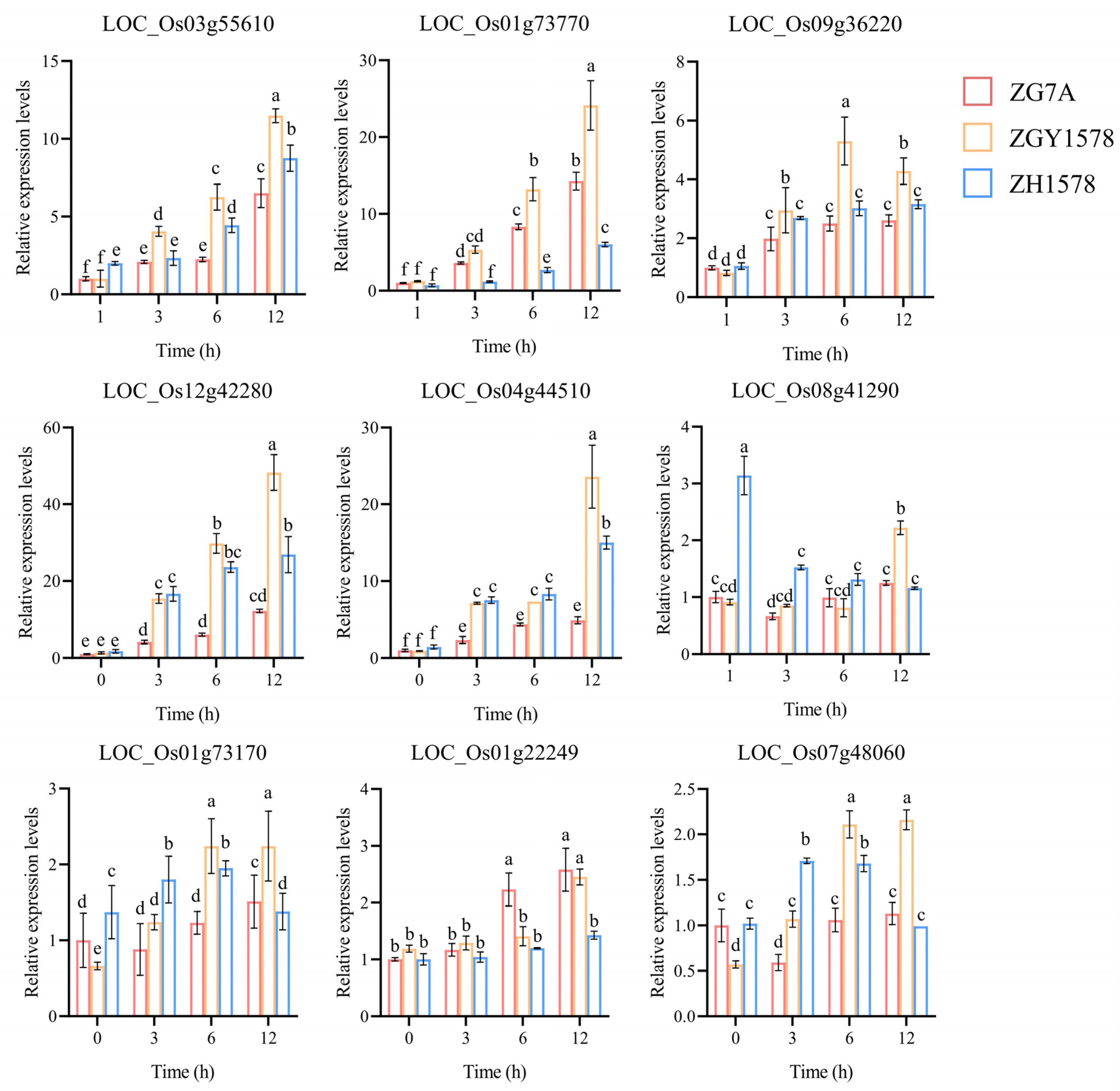 Ijms 24 02212 g007 Ijms 24 02212 g007