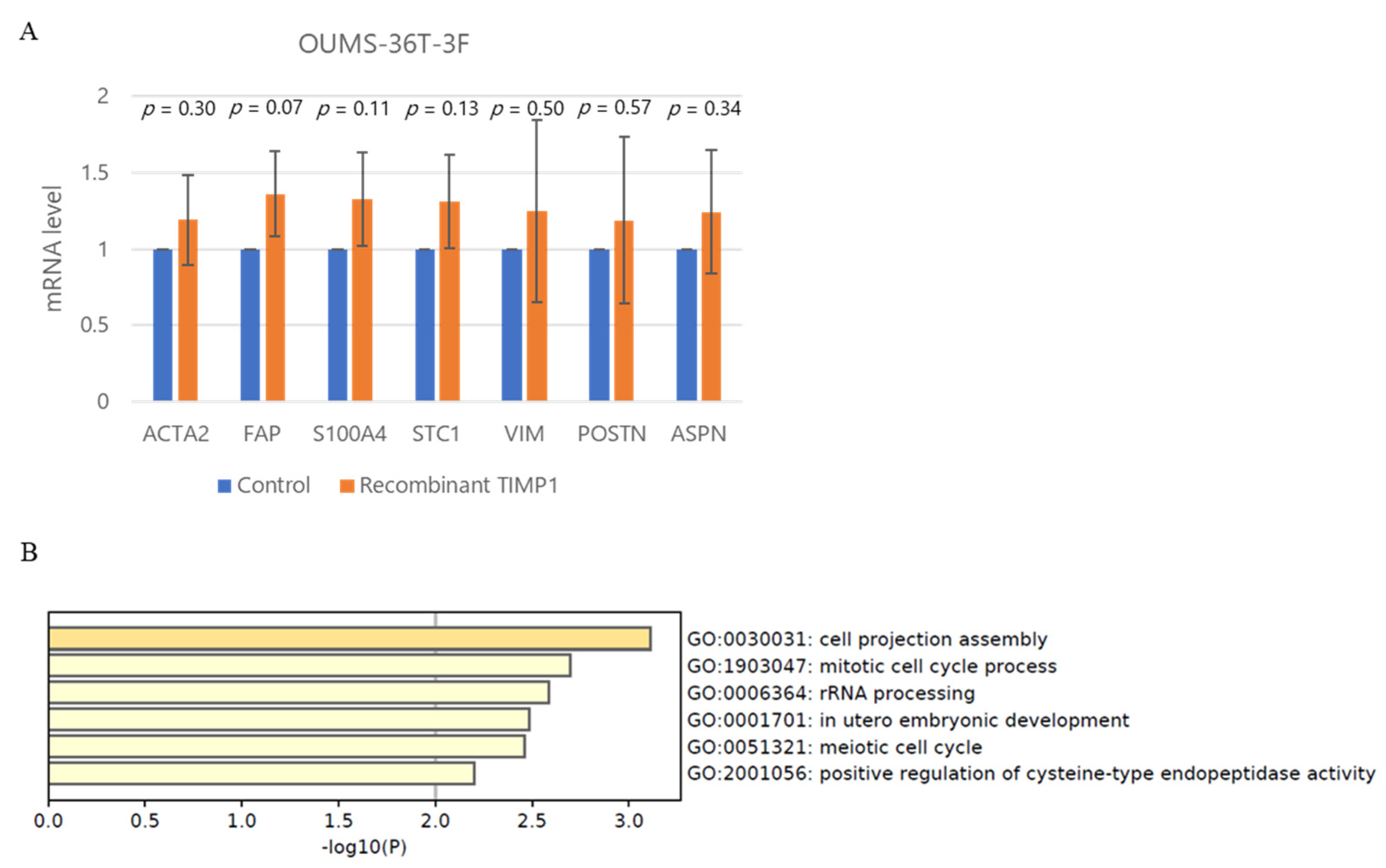 Ijms 24 02216 g008a Ijms 24 02216 g008a