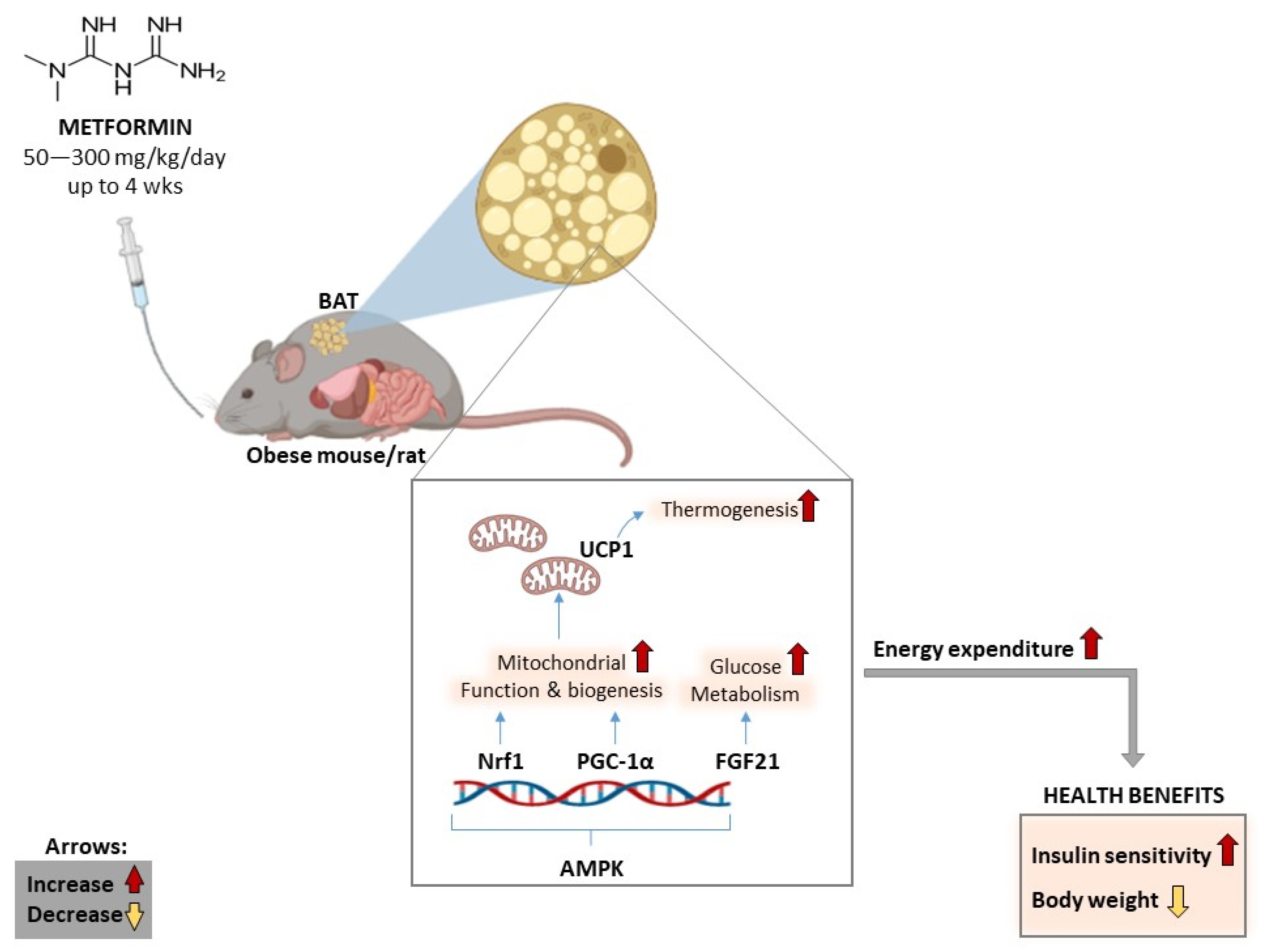 Ijms 24 02227 g004 Ijms 24 02227 g004