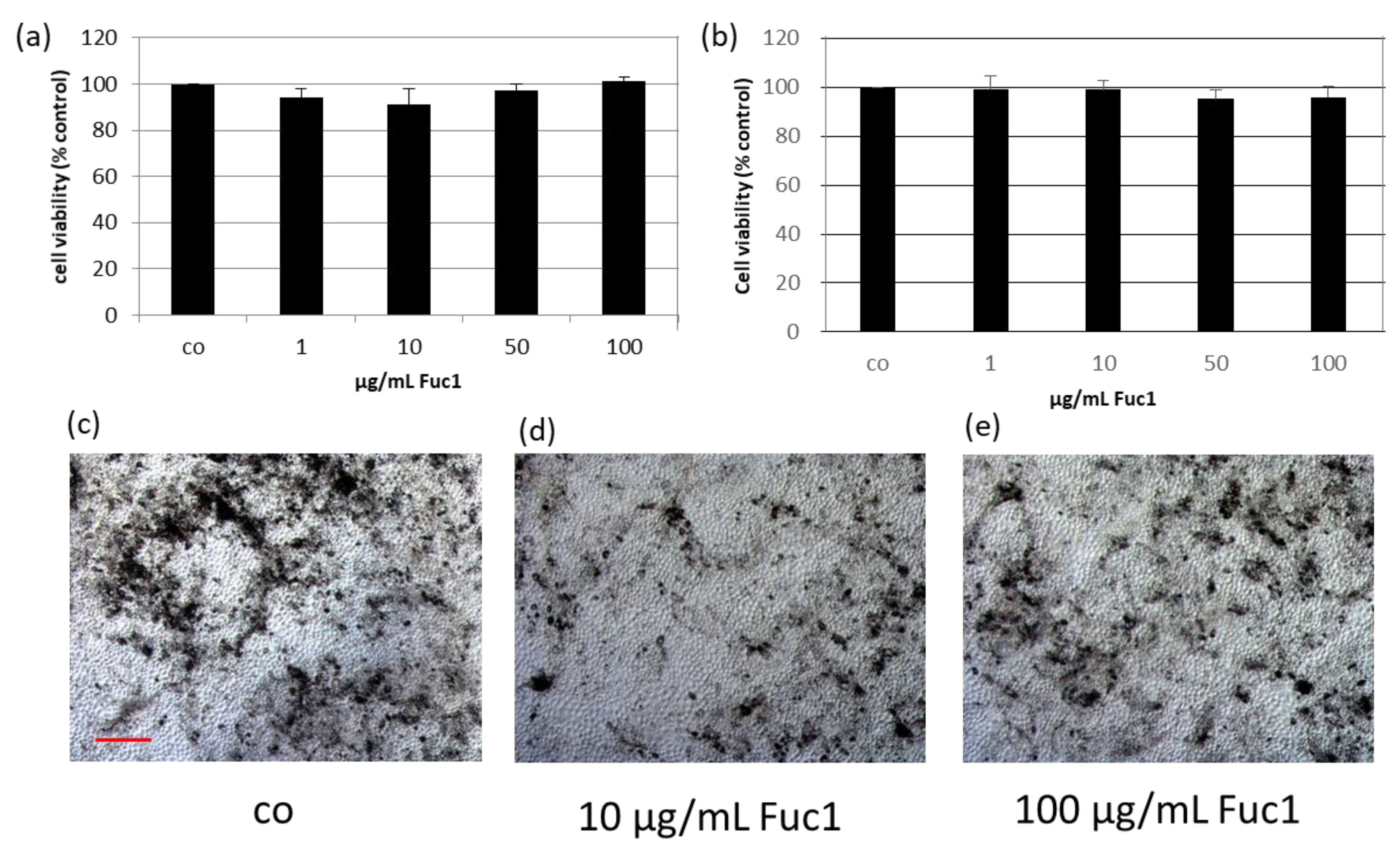 Ijms 24 02232 g001 Ijms 24 02232 g001