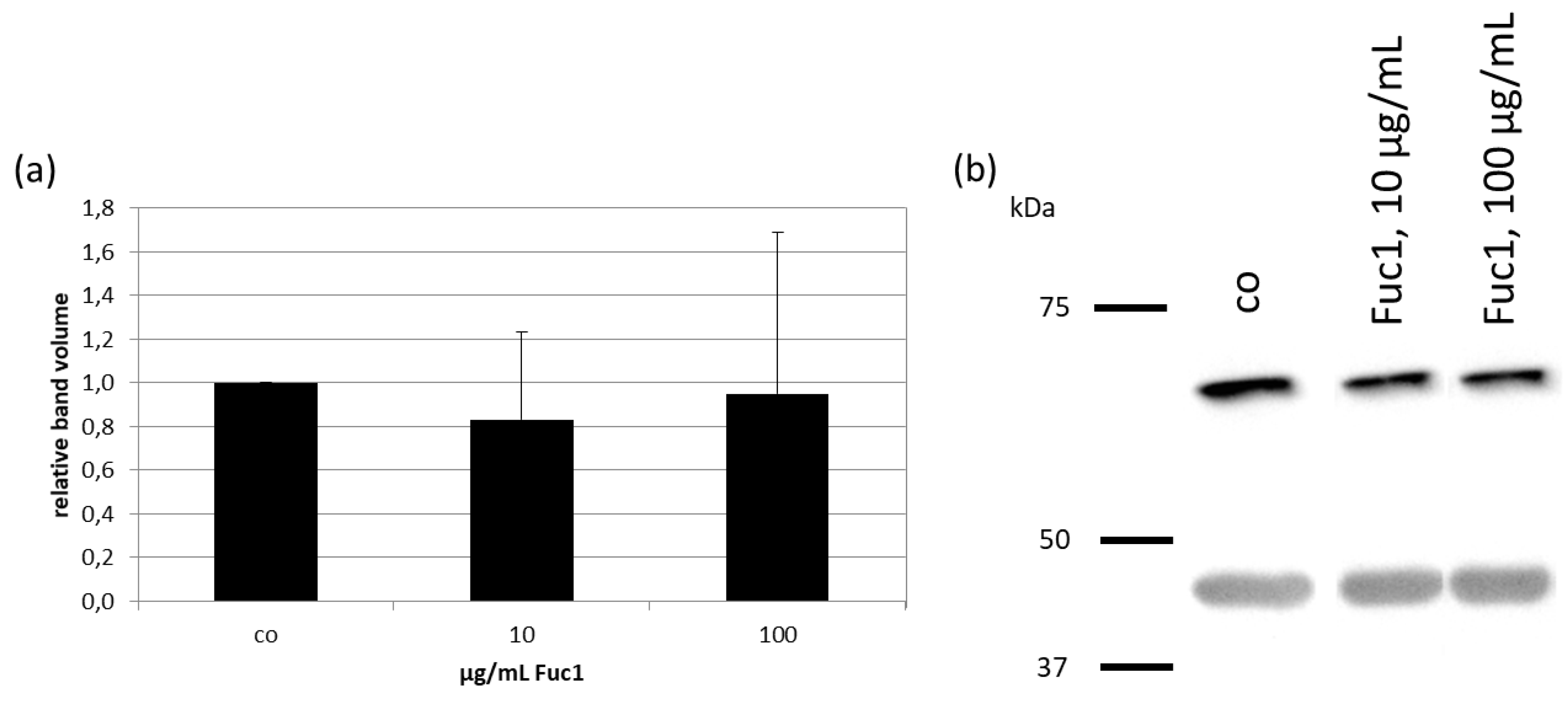 Ijms 24 02232 g003 Ijms 24 02232 g003