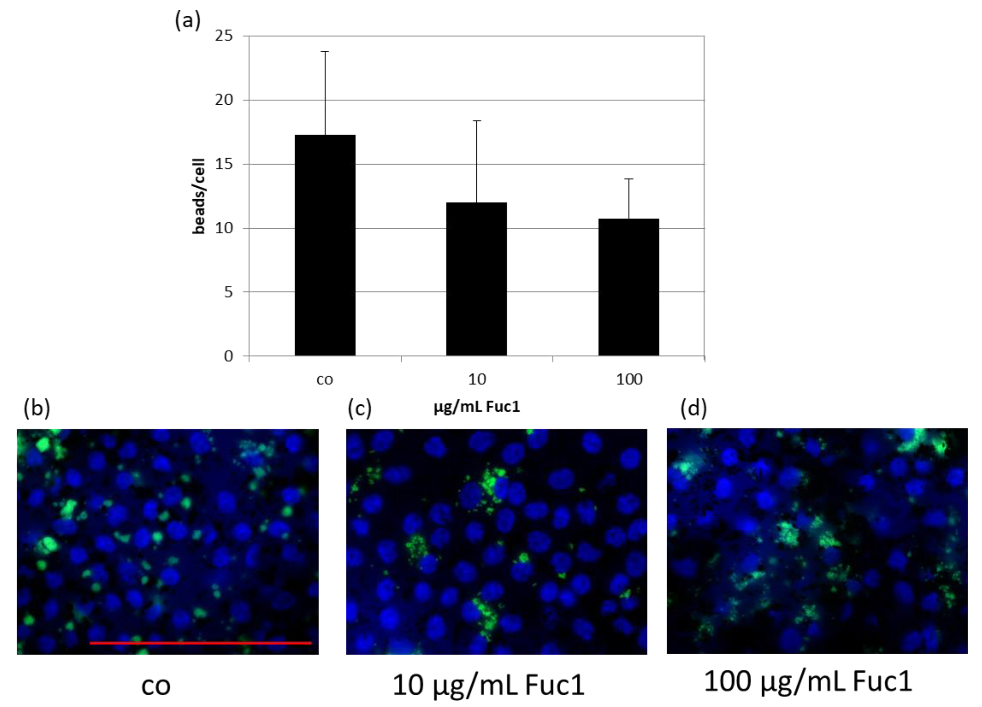 Ijms 24 02232 g004 Ijms 24 02232 g004