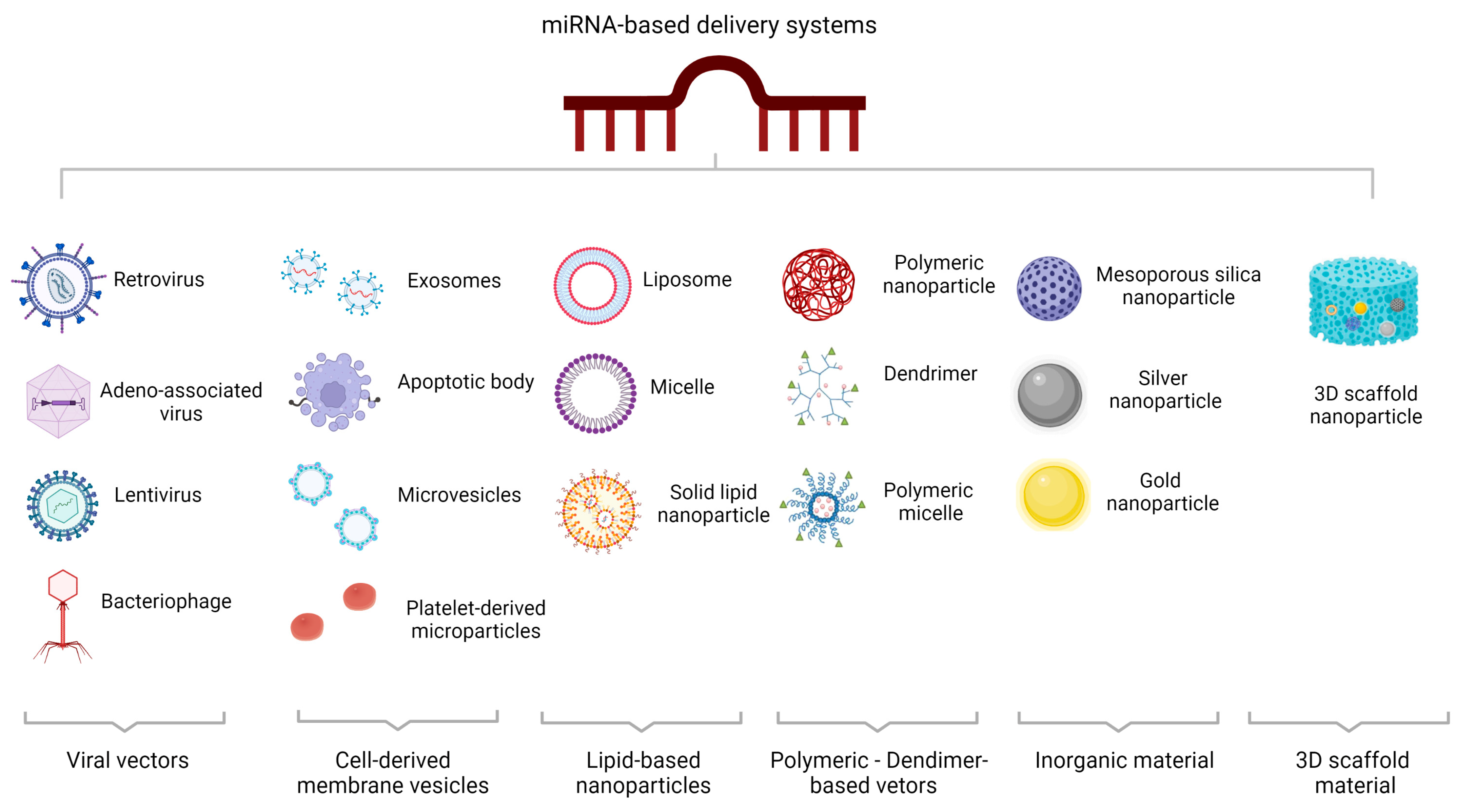 Ijms 24 02233 g003 Ijms 24 02233 g003