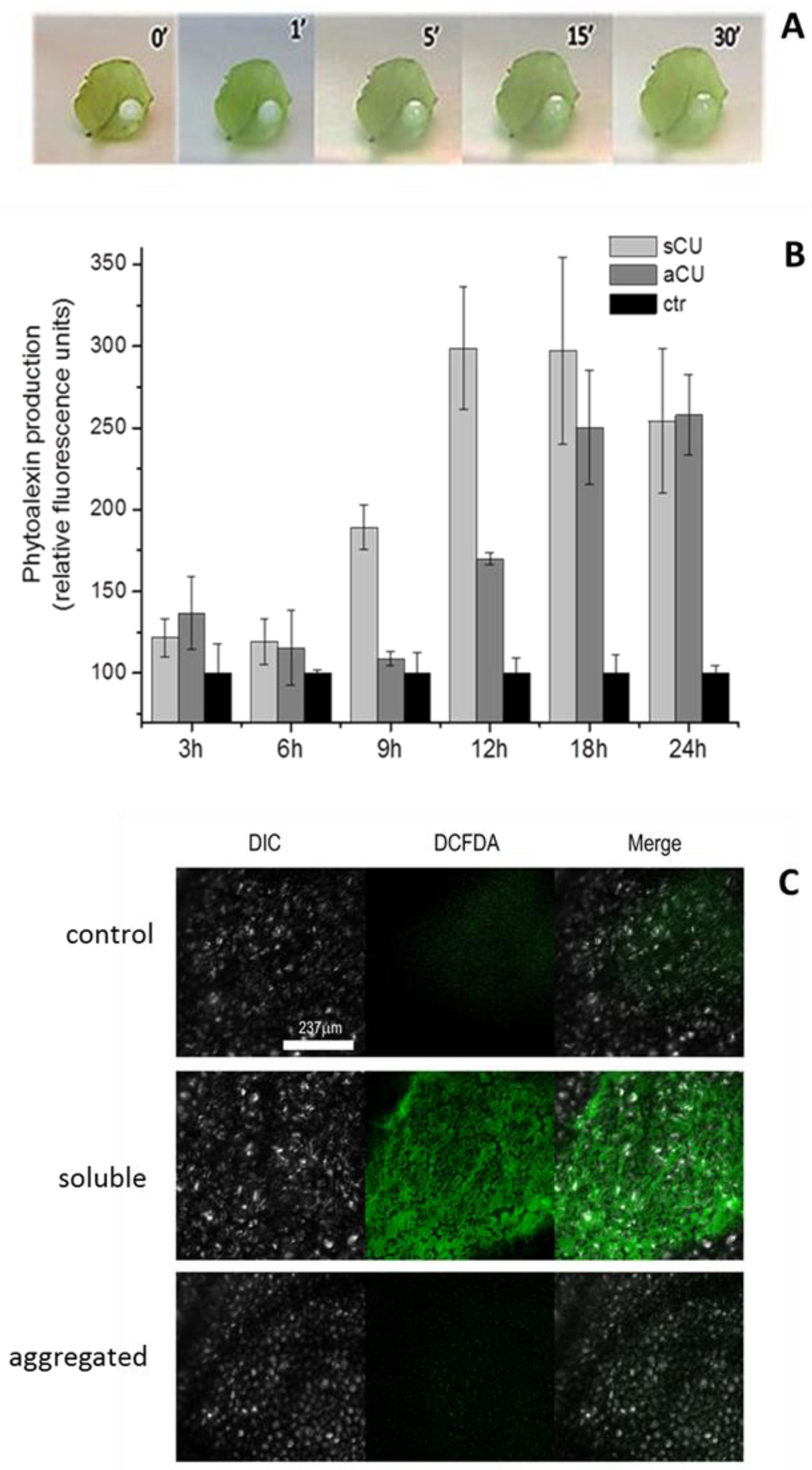 Ijms 24 02251 g002 Ijms 24 02251 g002