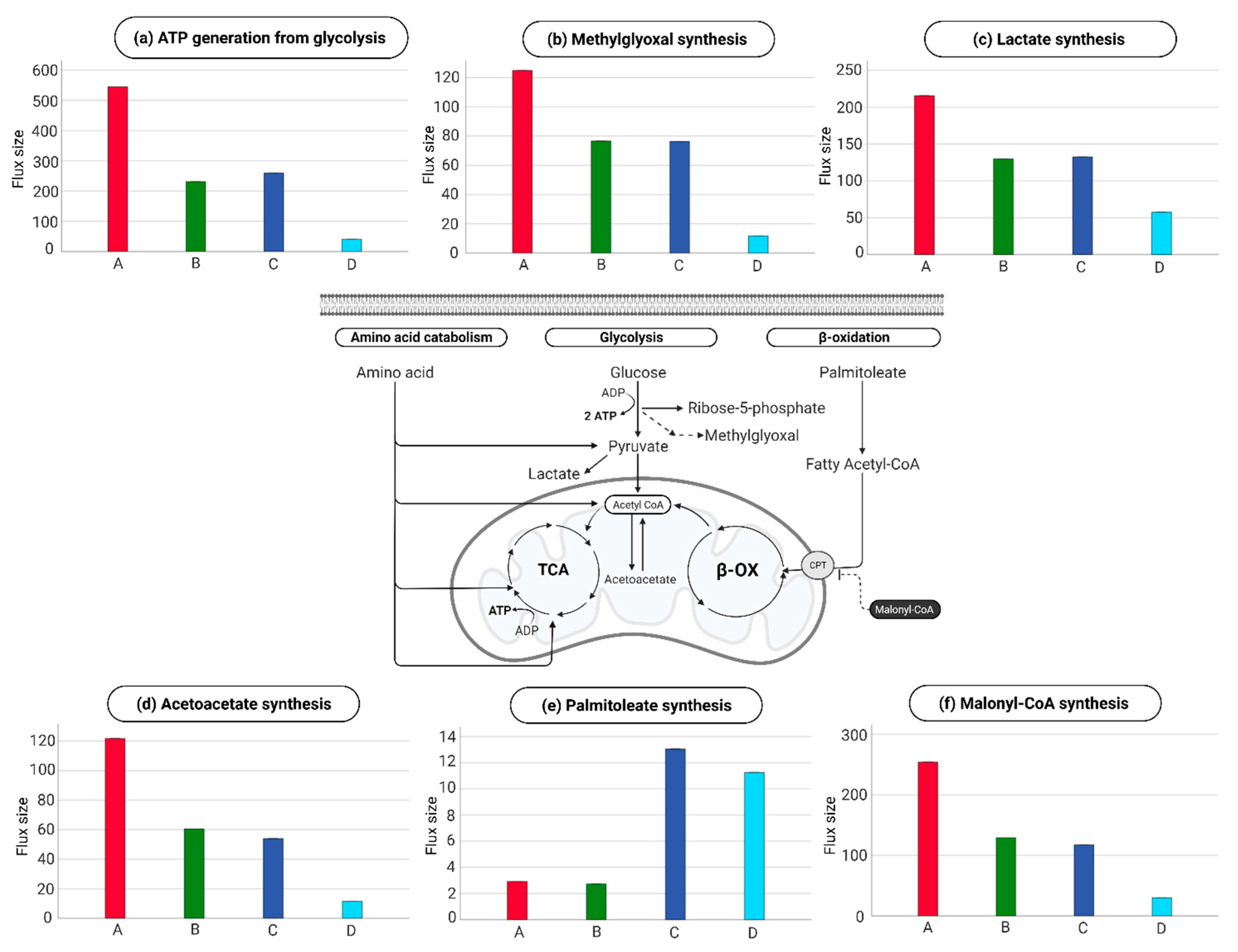 Ijms 24 02257 g004 Ijms 24 02257 g004
