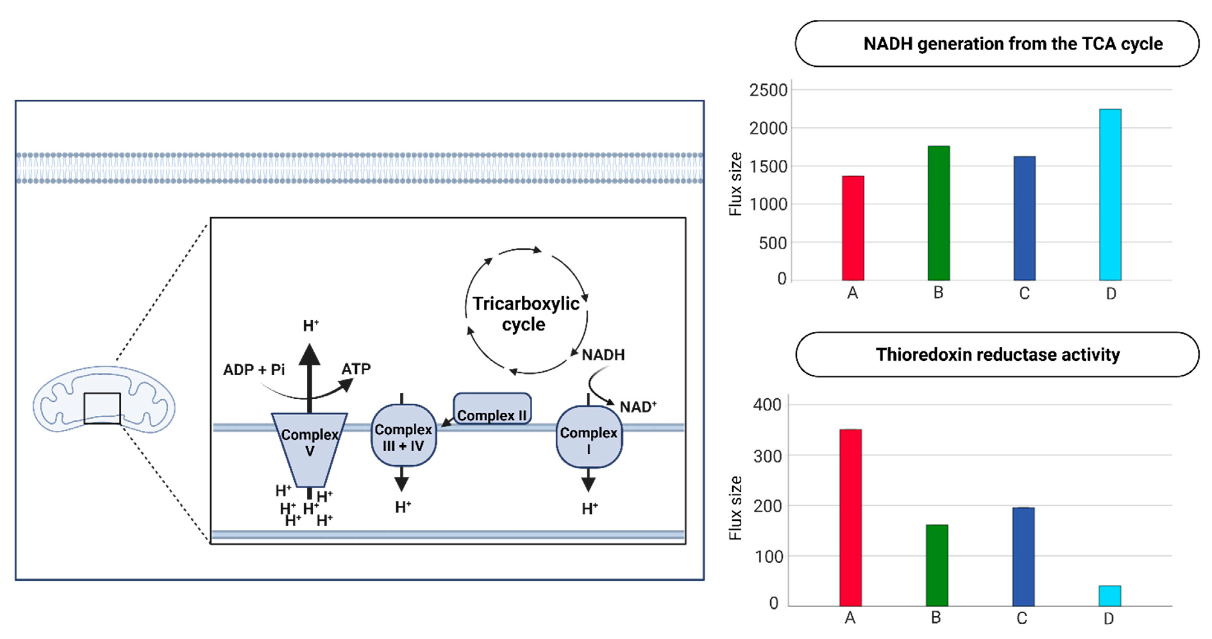 Ijms 24 02257 g005 Ijms 24 02257 g005
