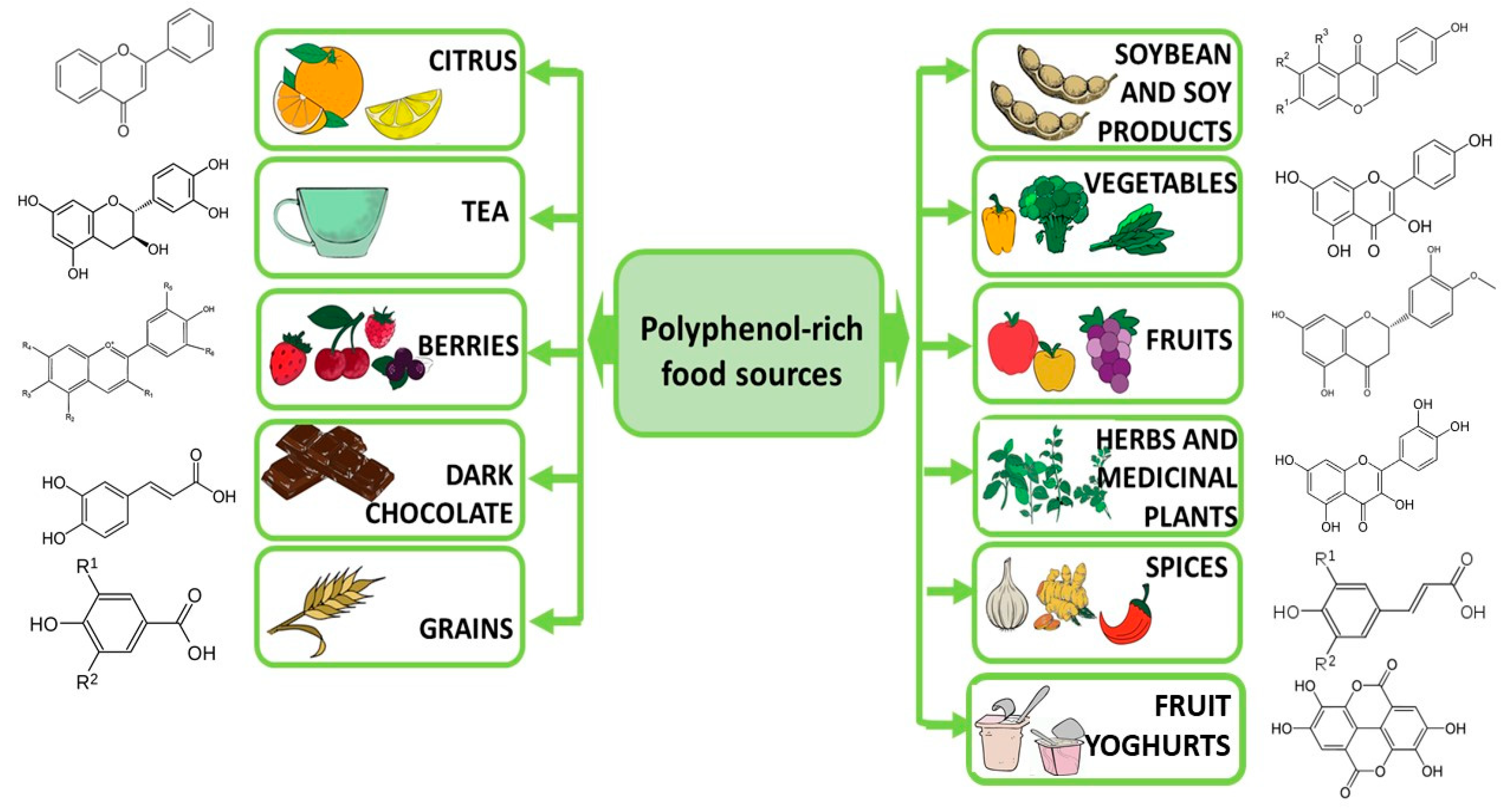 Ijms 24 02258 g002 Ijms 24 02258 g002