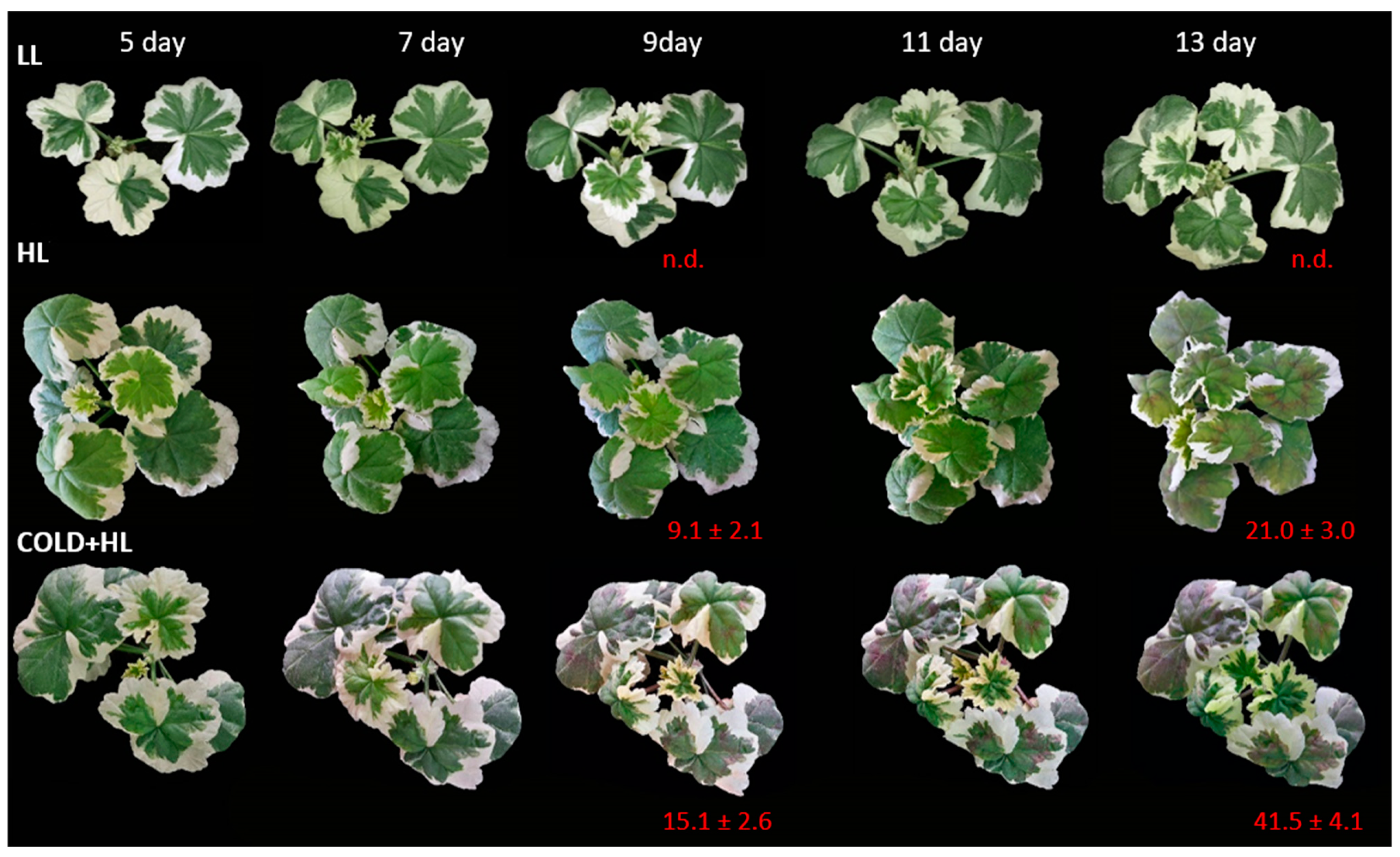 Ijms 24 02269 g007 Ijms 24 02269 g007