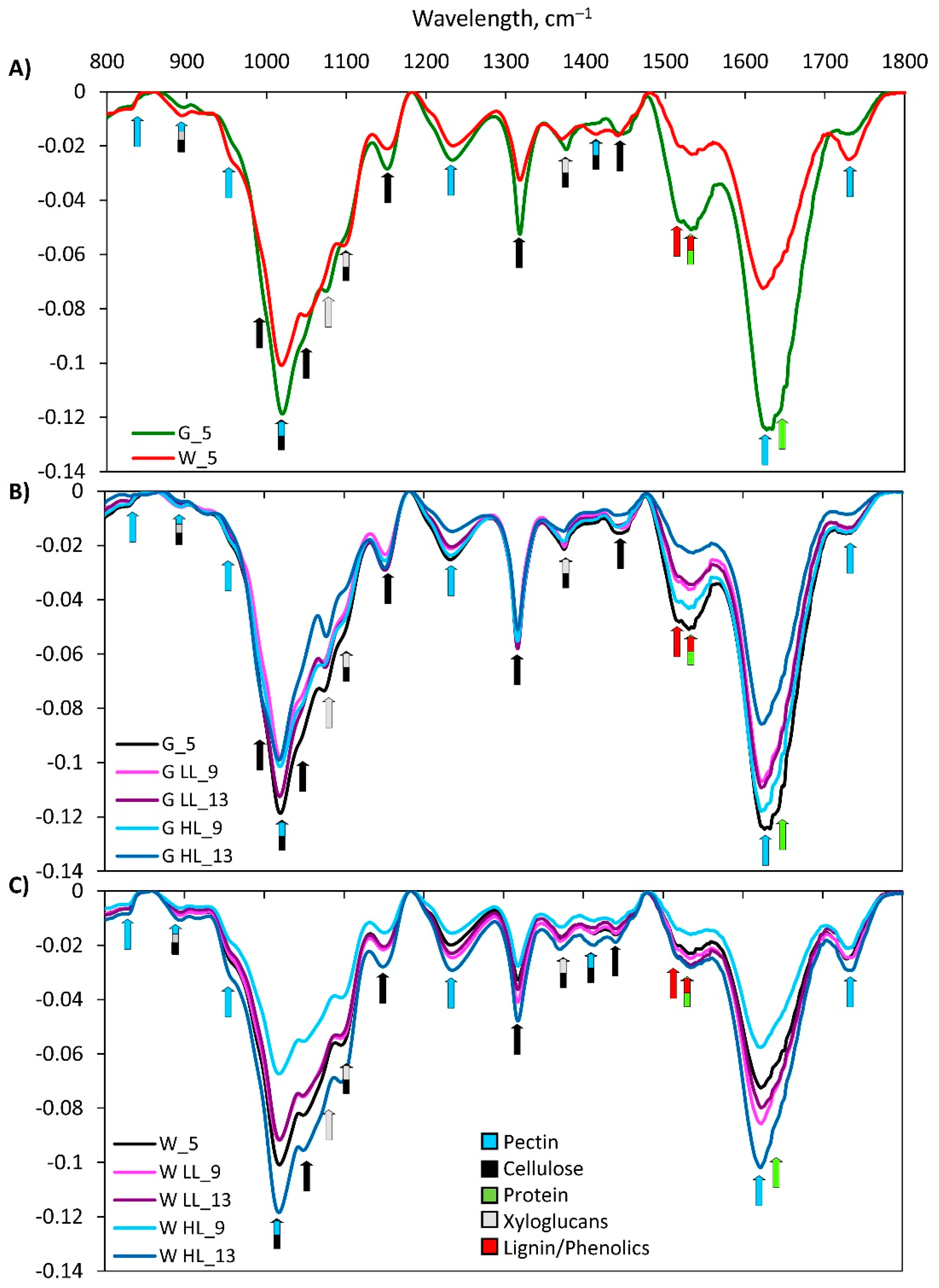 Ijms 24 02269 g009 Ijms 24 02269 g009