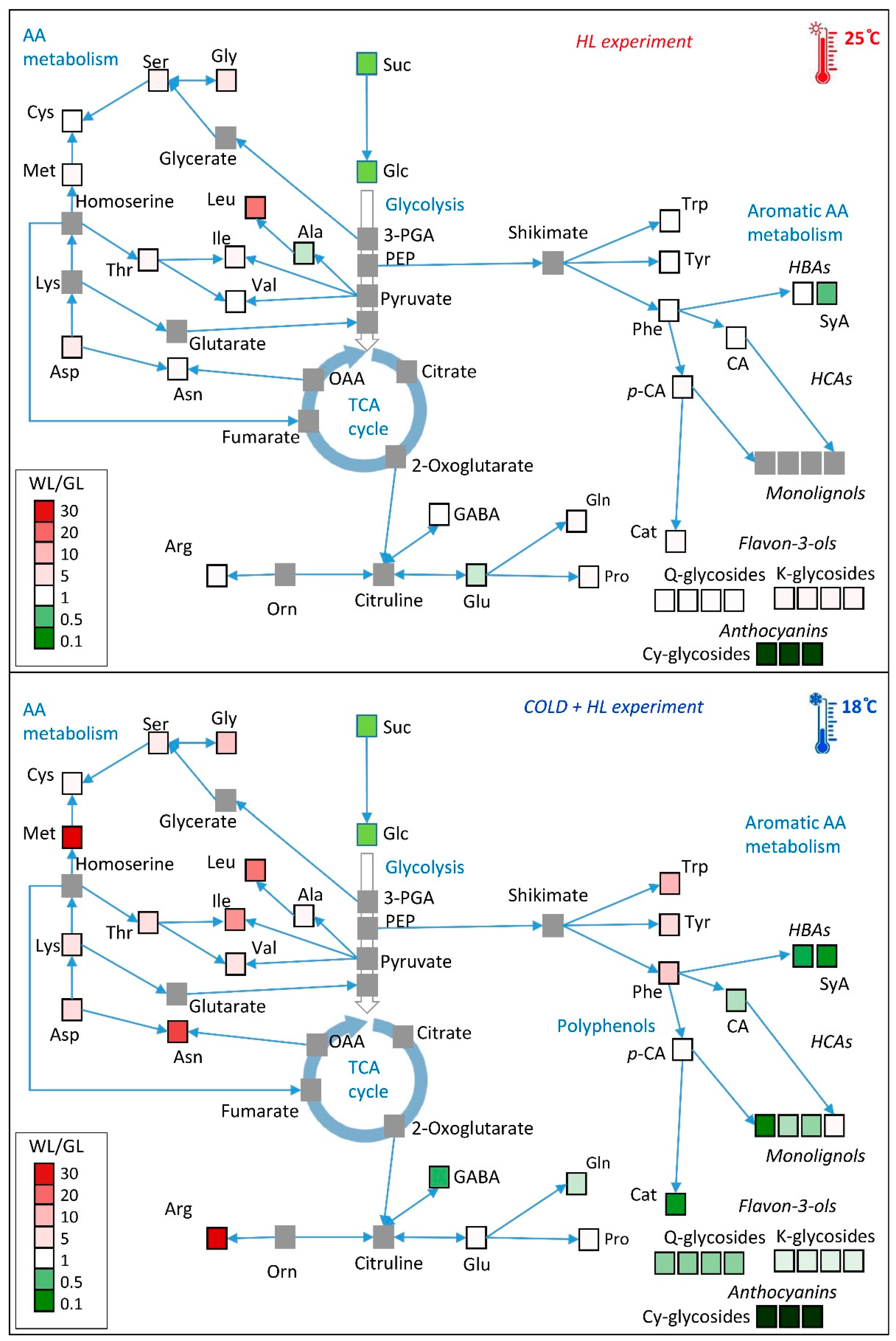 Ijms 24 02269 g016 Ijms 24 02269 g016