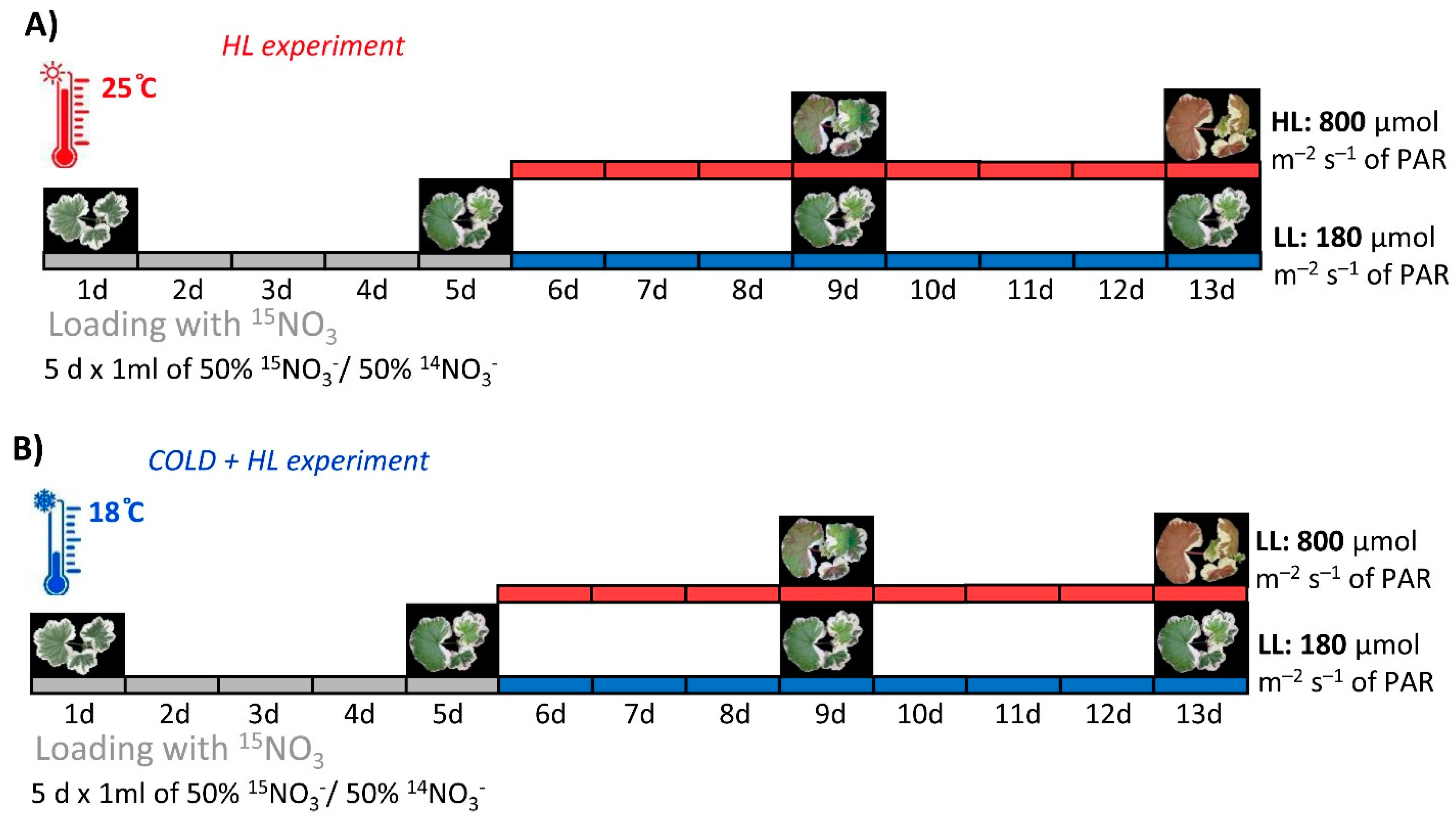 Ijms 24 02269 g017 Ijms 24 02269 g017