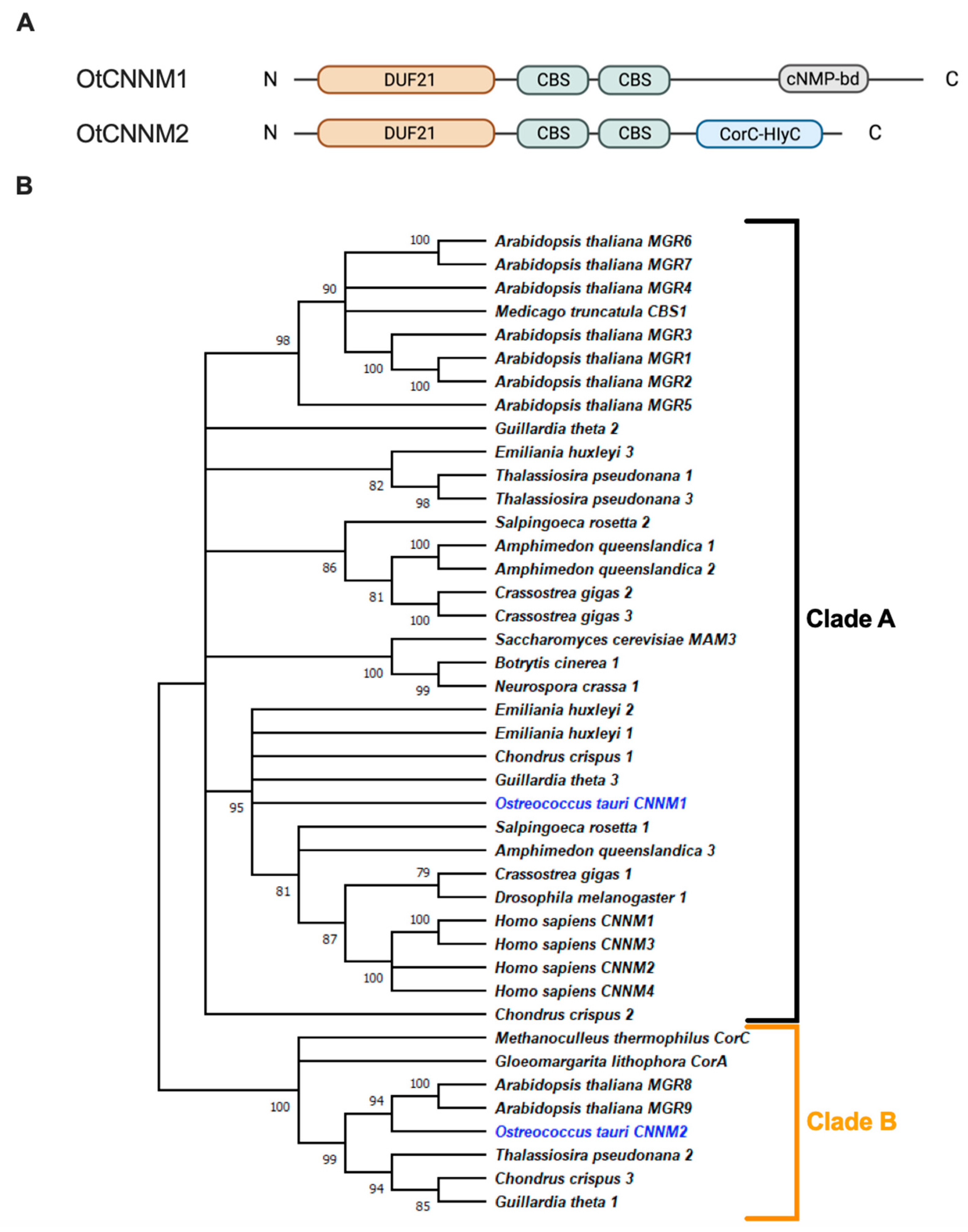 Ijms 24 02273 g001 Ijms 24 02273 g001