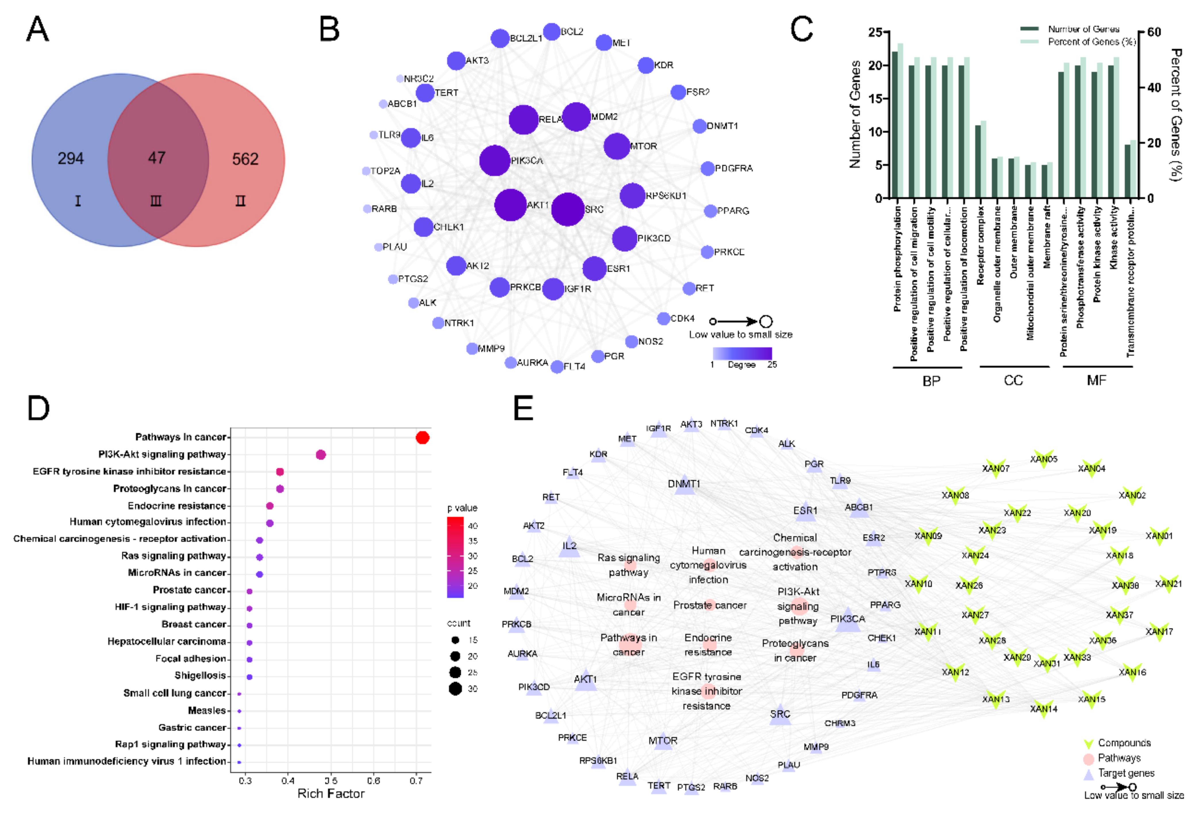 Ijms 24 02279 g005 Ijms 24 02279 g005
