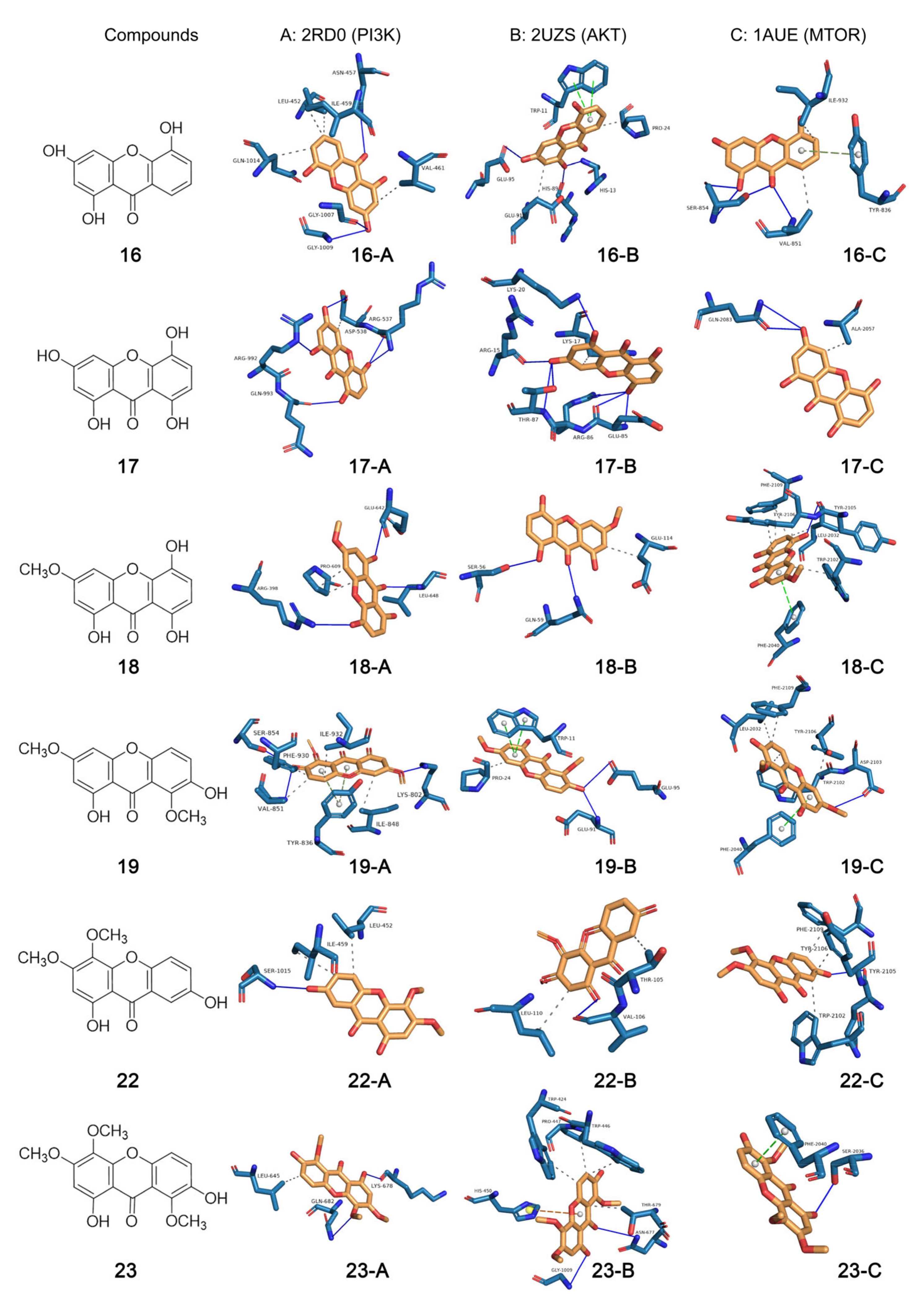 Ijms 24 02279 g006 Ijms 24 02279 g006