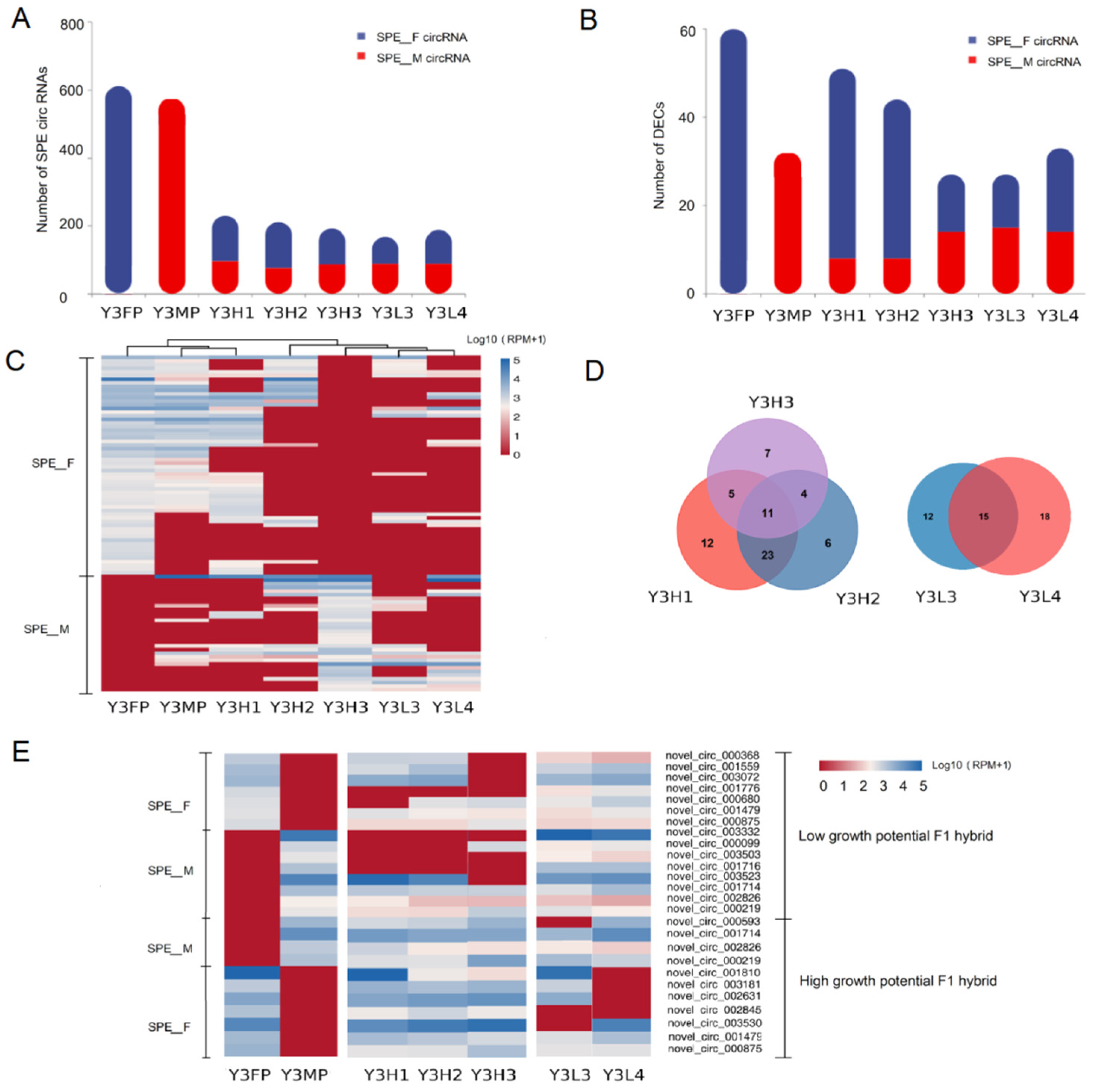 Ijms 24 02284 g003 Ijms 24 02284 g003