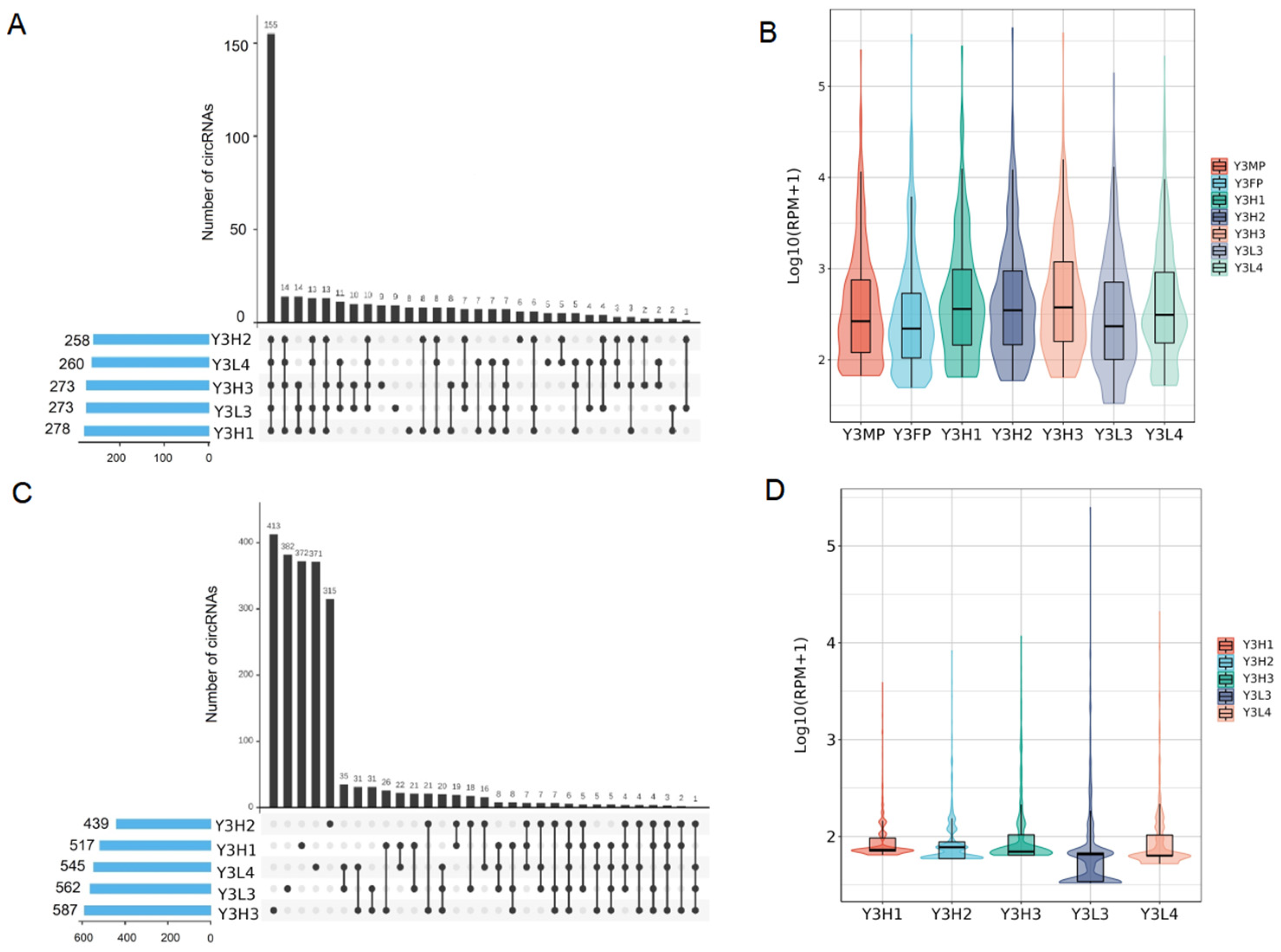 Ijms 24 02284 g004 Ijms 24 02284 g004