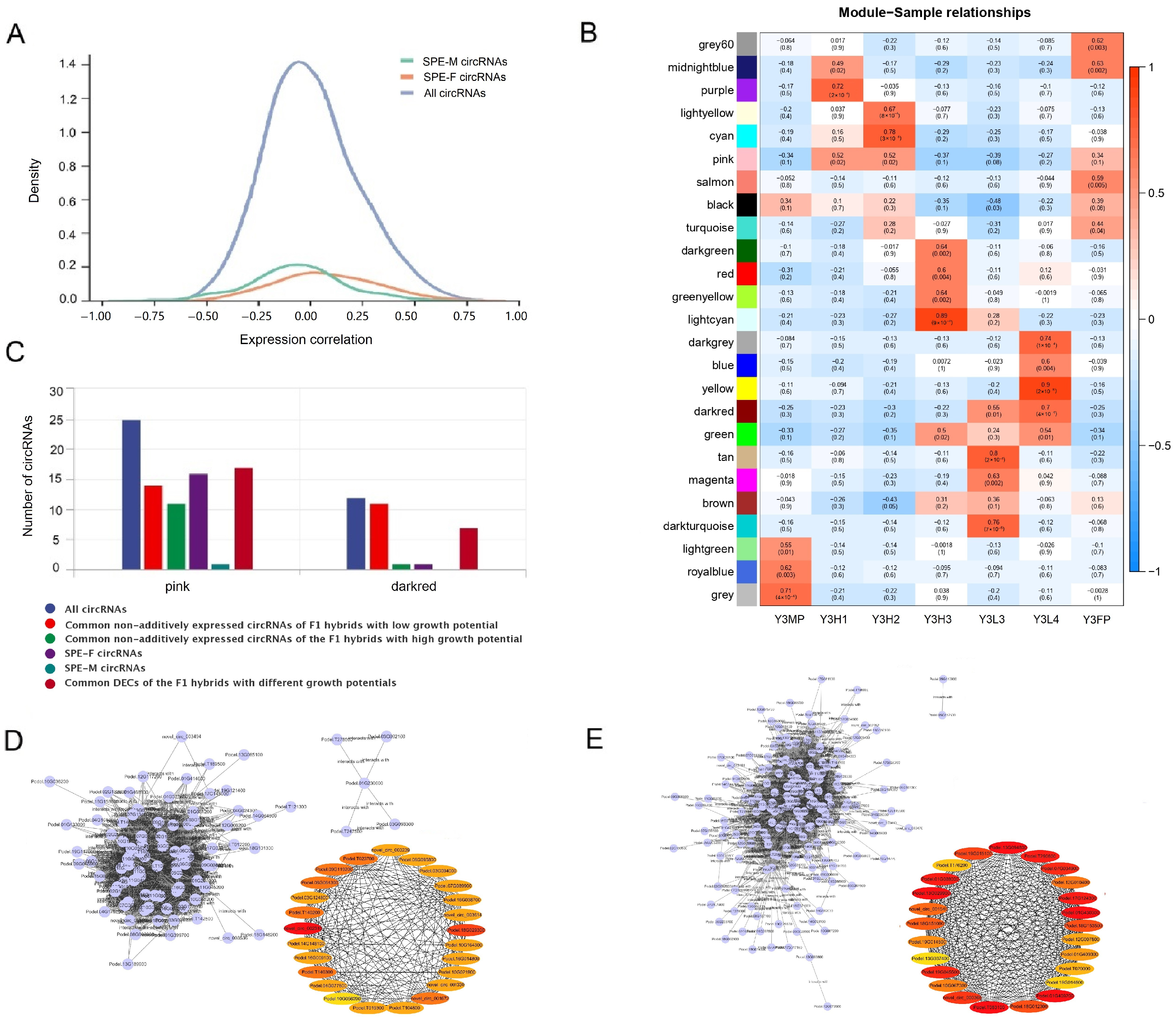 Ijms 24 02284 g007 Ijms 24 02284 g007