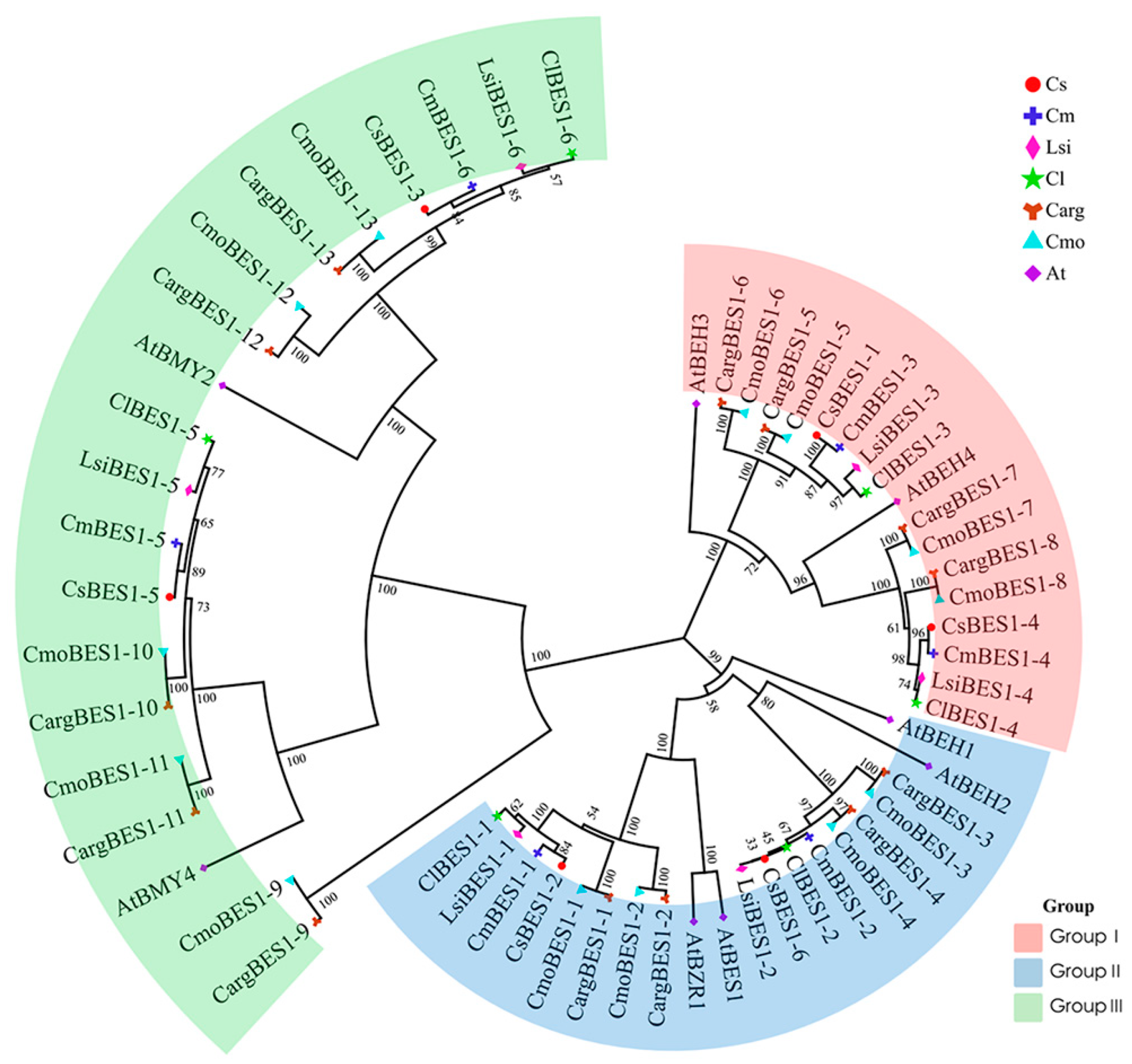 Ijms 24 02287 g001 Ijms 24 02287 g001