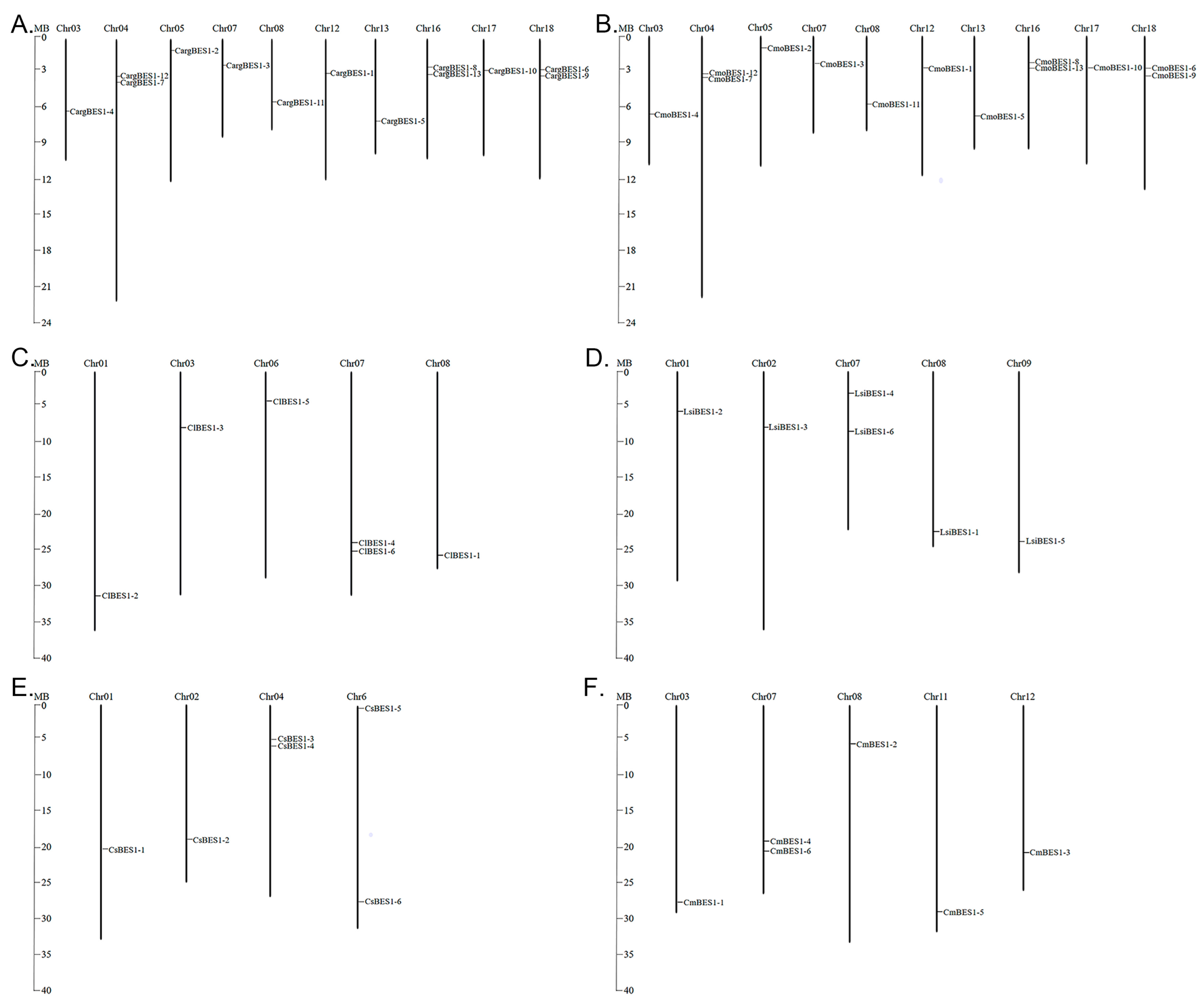 Ijms 24 02287 g002 Ijms 24 02287 g002