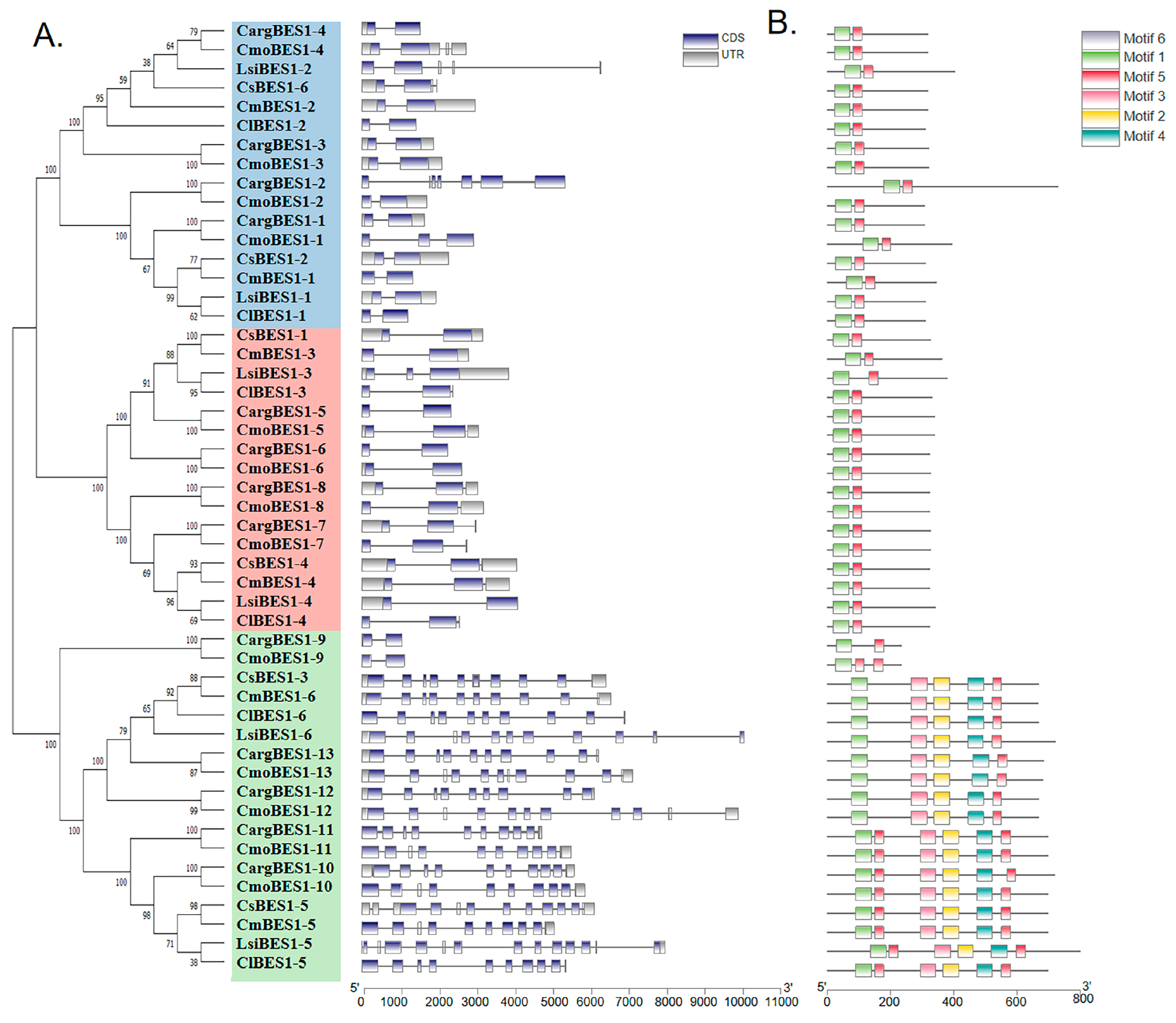 Ijms 24 02287 g003 Ijms 24 02287 g003