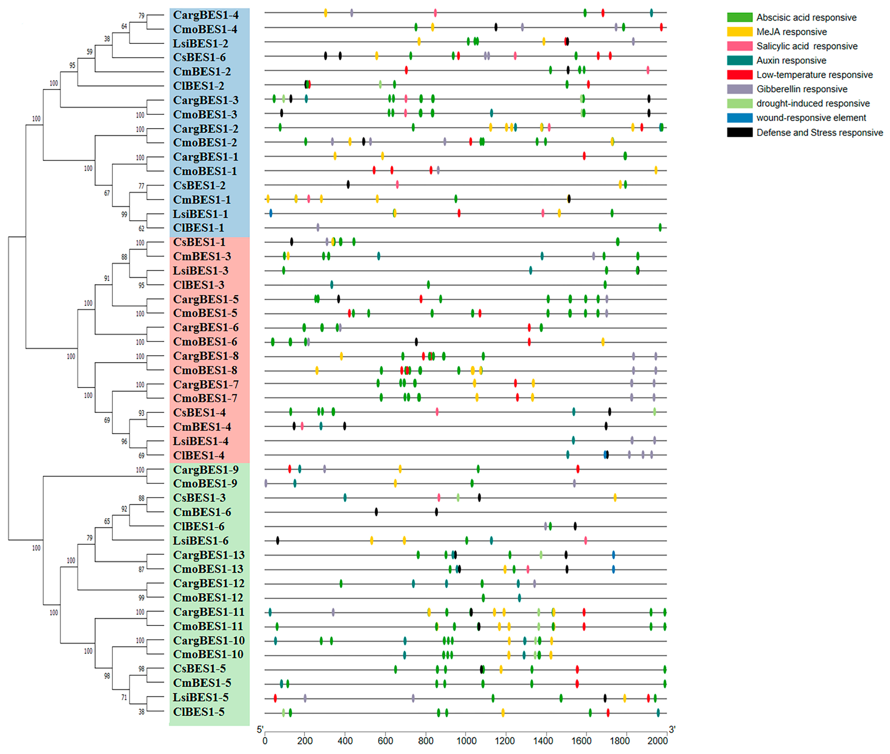 Ijms 24 02287 g004 Ijms 24 02287 g004