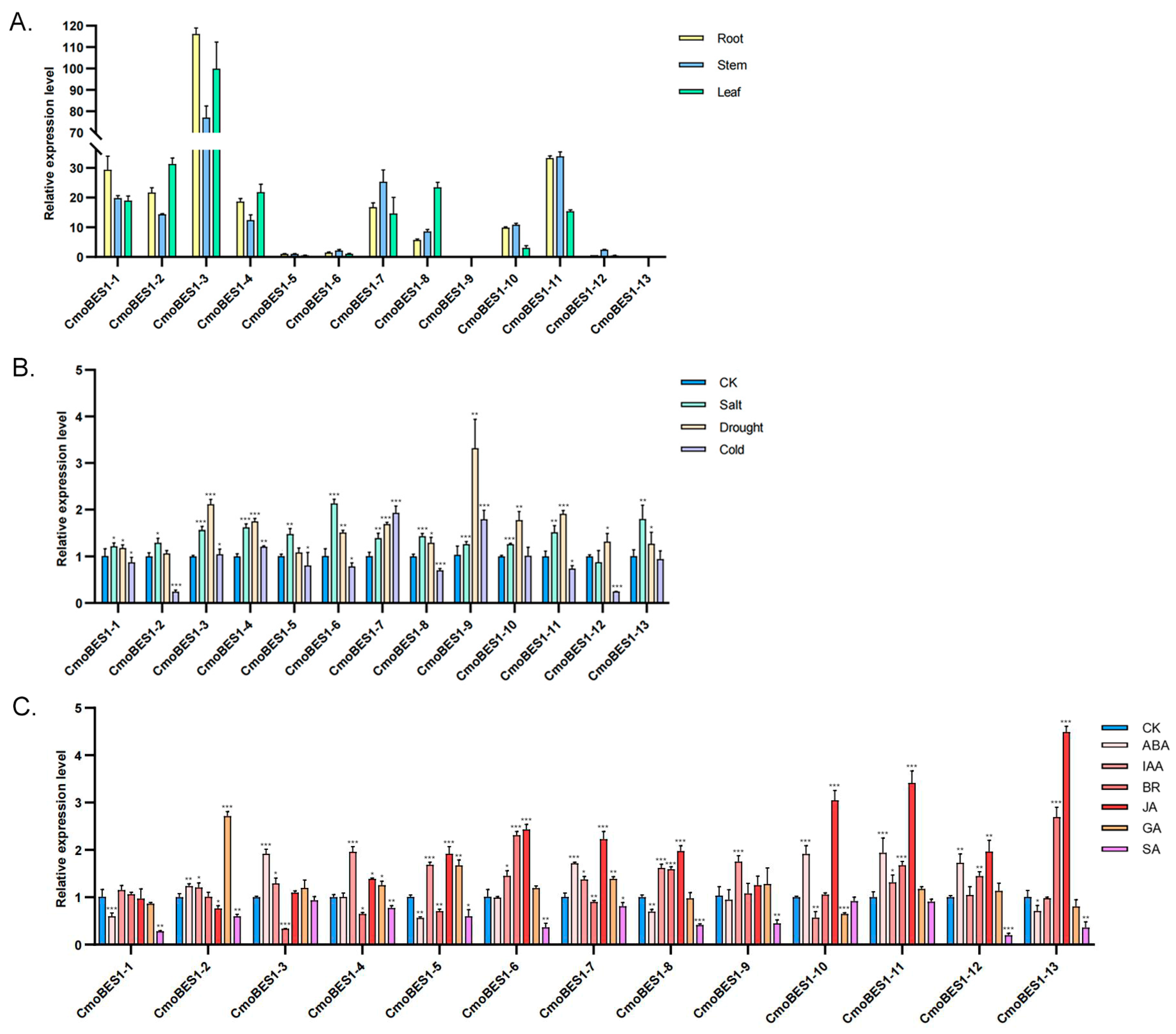 Ijms 24 02287 g005 Ijms 24 02287 g005