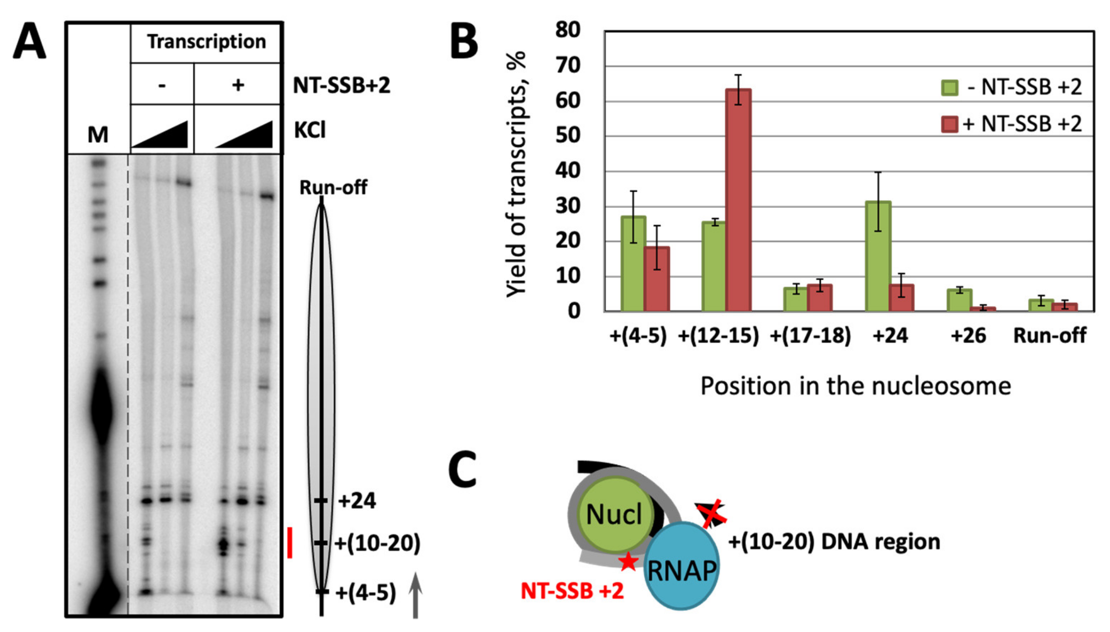 Ijms 24 02295 g002 Ijms 24 02295 g002