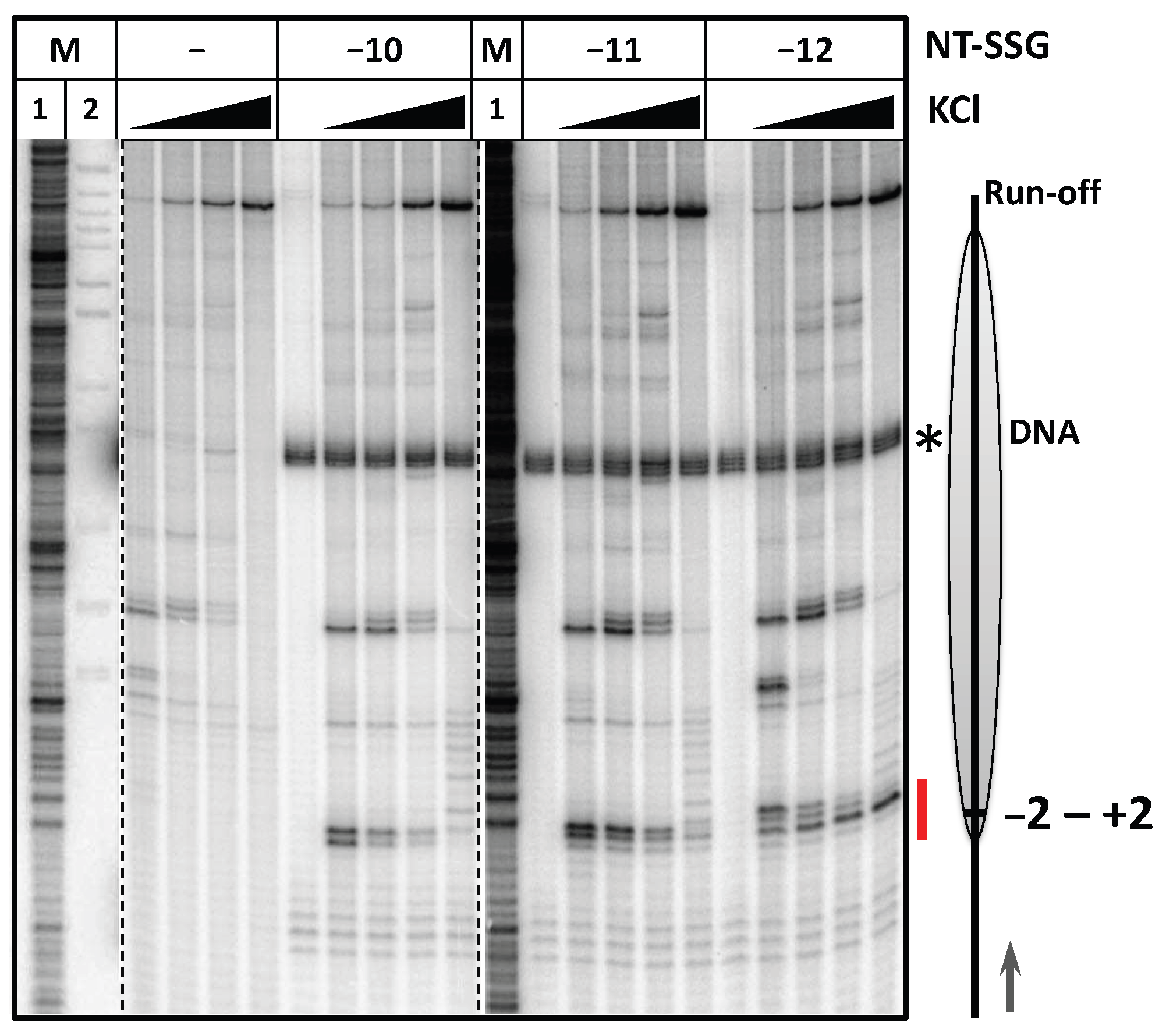 Ijms 24 02295 g003 Ijms 24 02295 g003