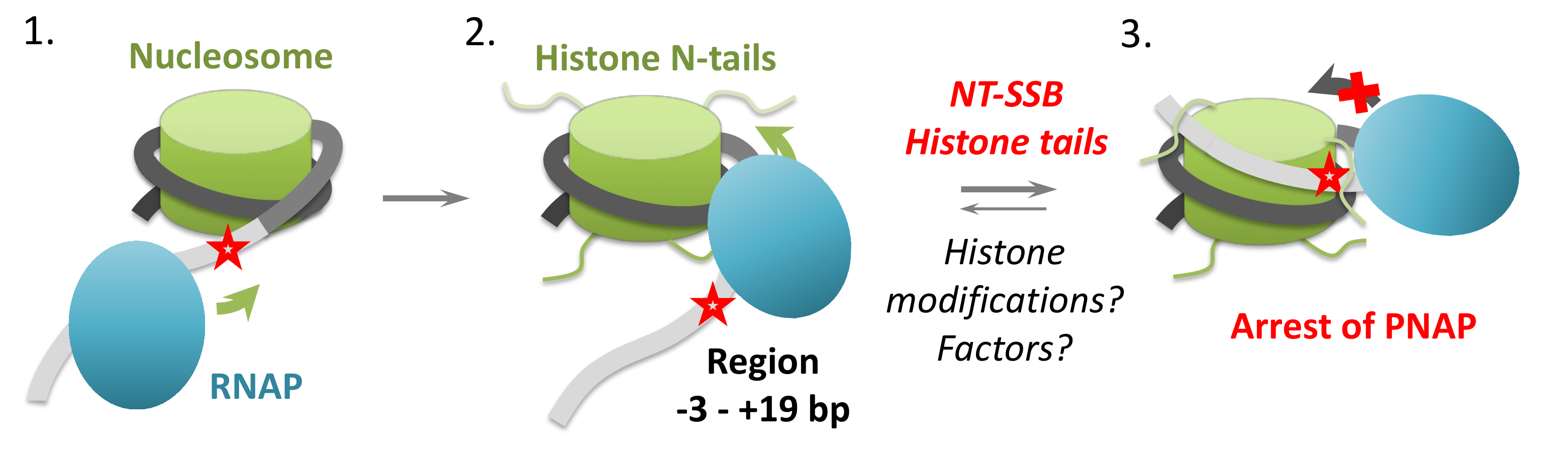 Ijms 24 02295 g007 Ijms 24 02295 g007