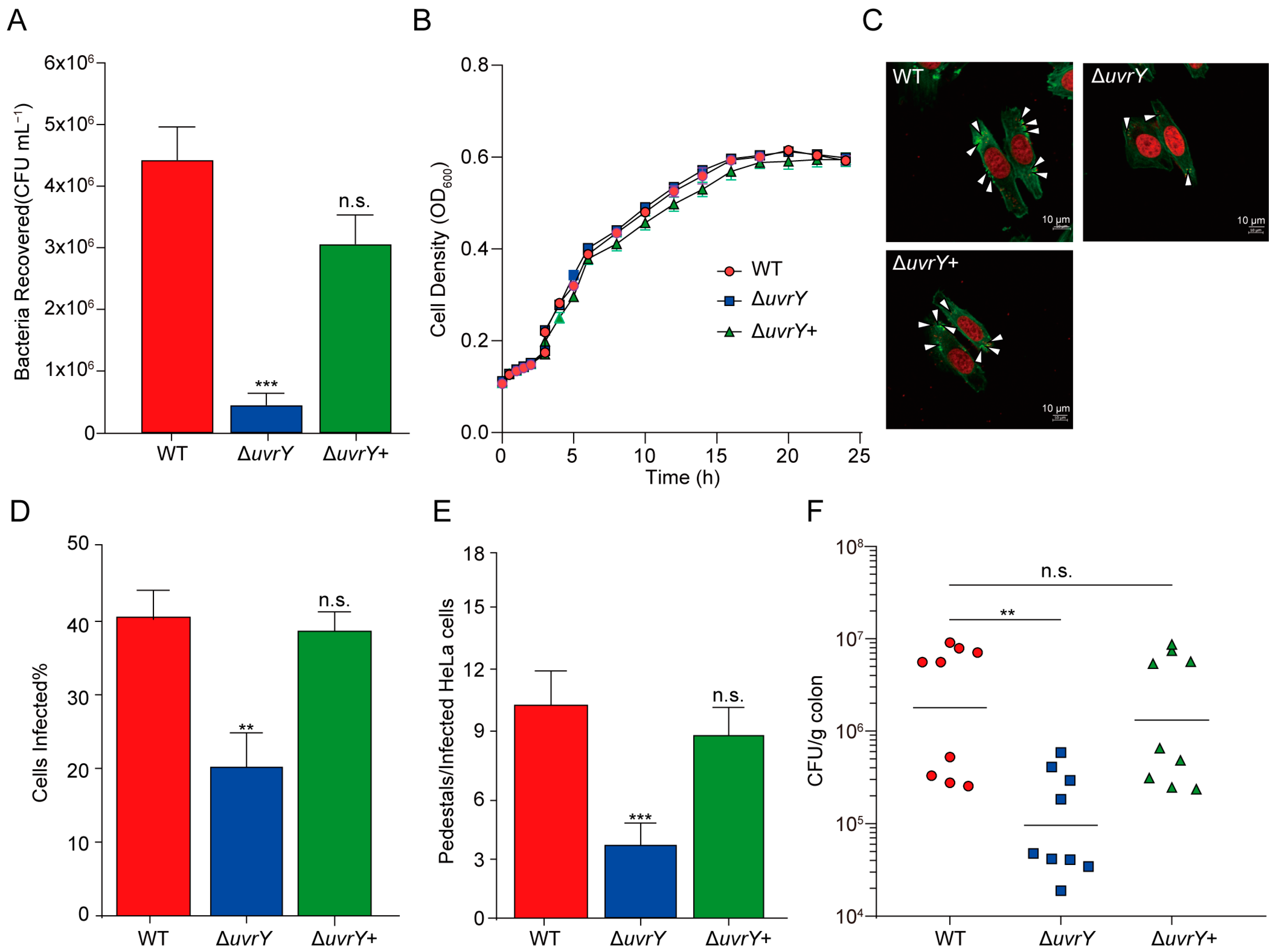 Ijms 24 02297 g001 Ijms 24 02297 g001