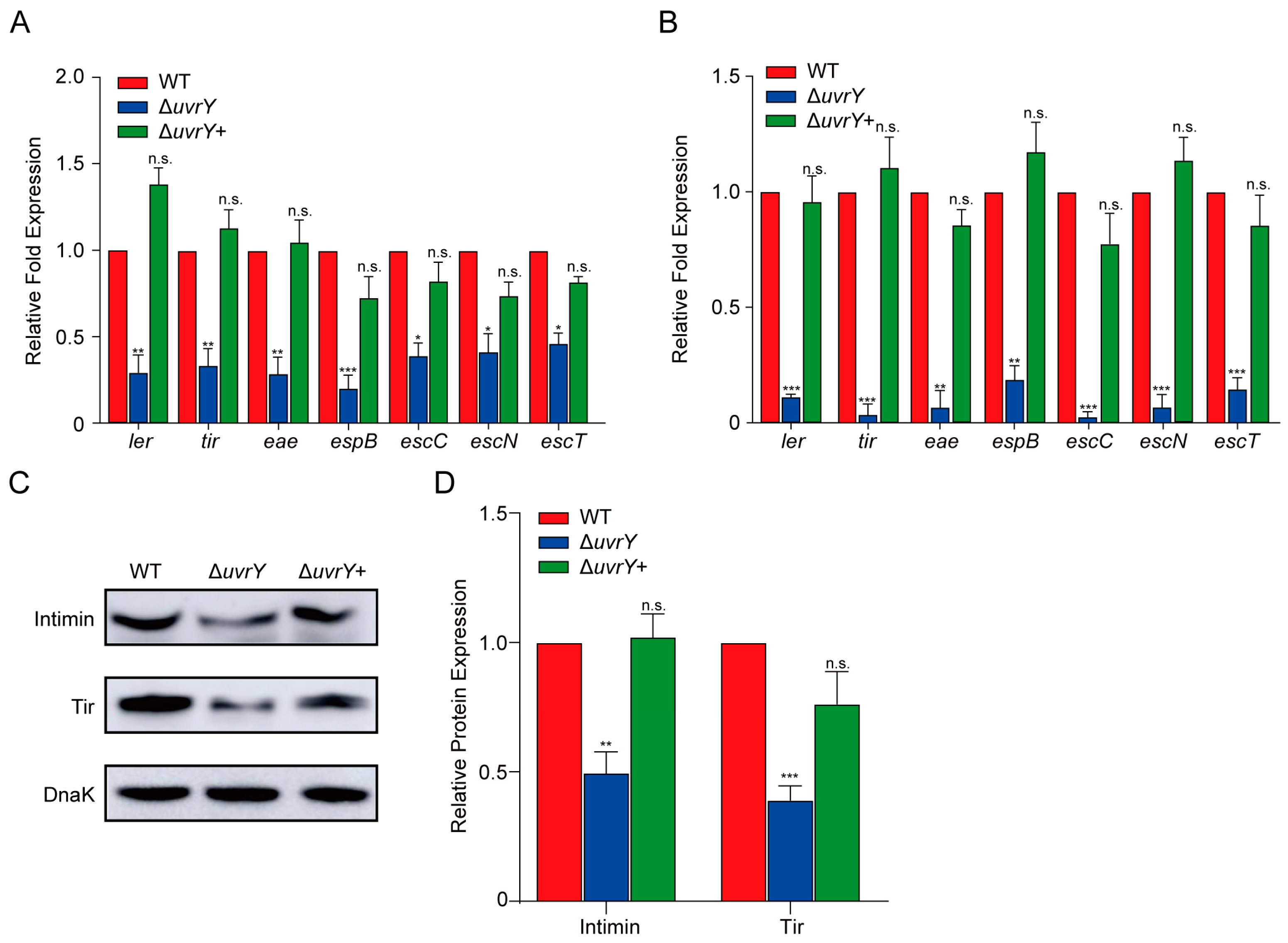 Ijms 24 02297 g002 Ijms 24 02297 g002