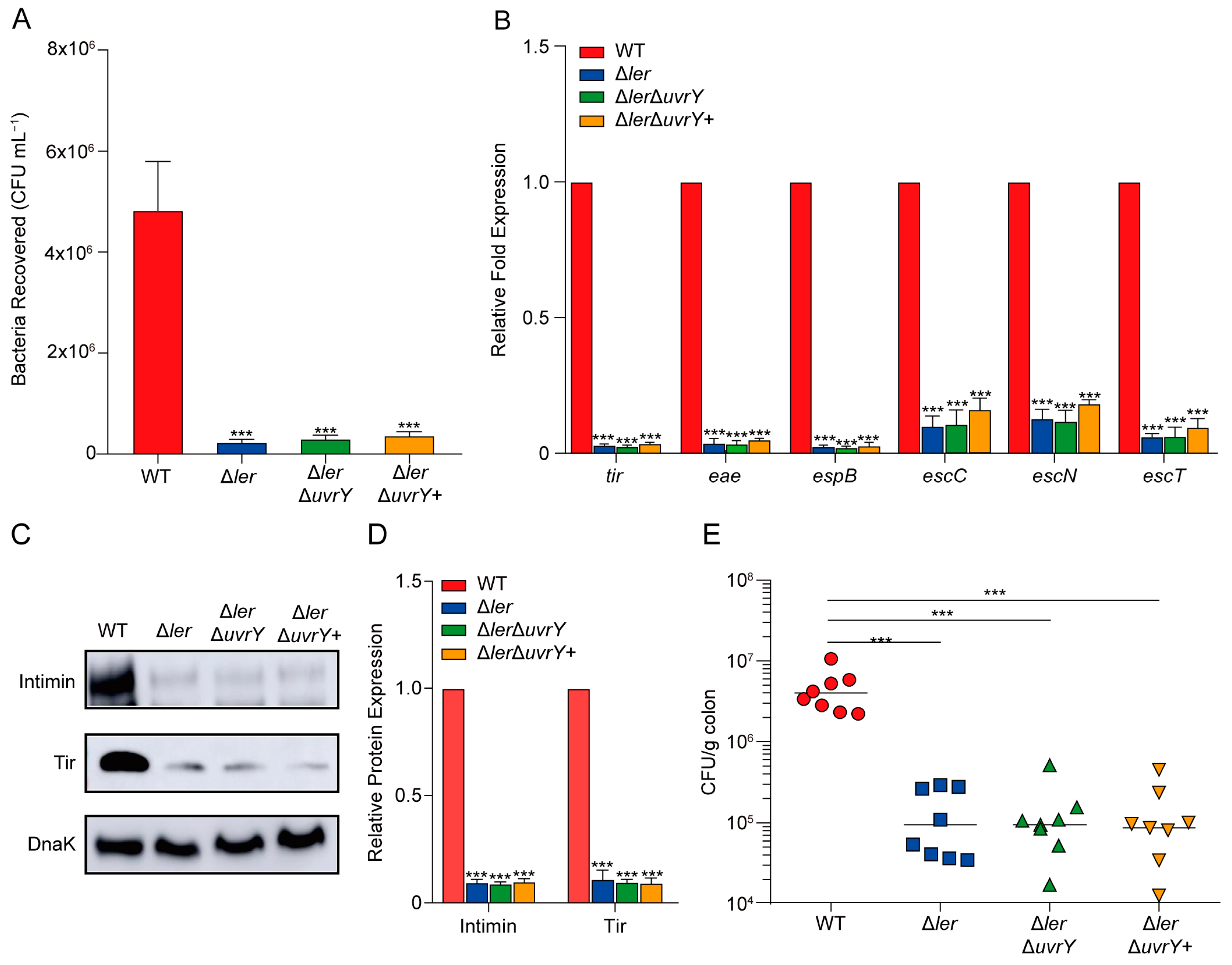 Ijms 24 02297 g003 Ijms 24 02297 g003