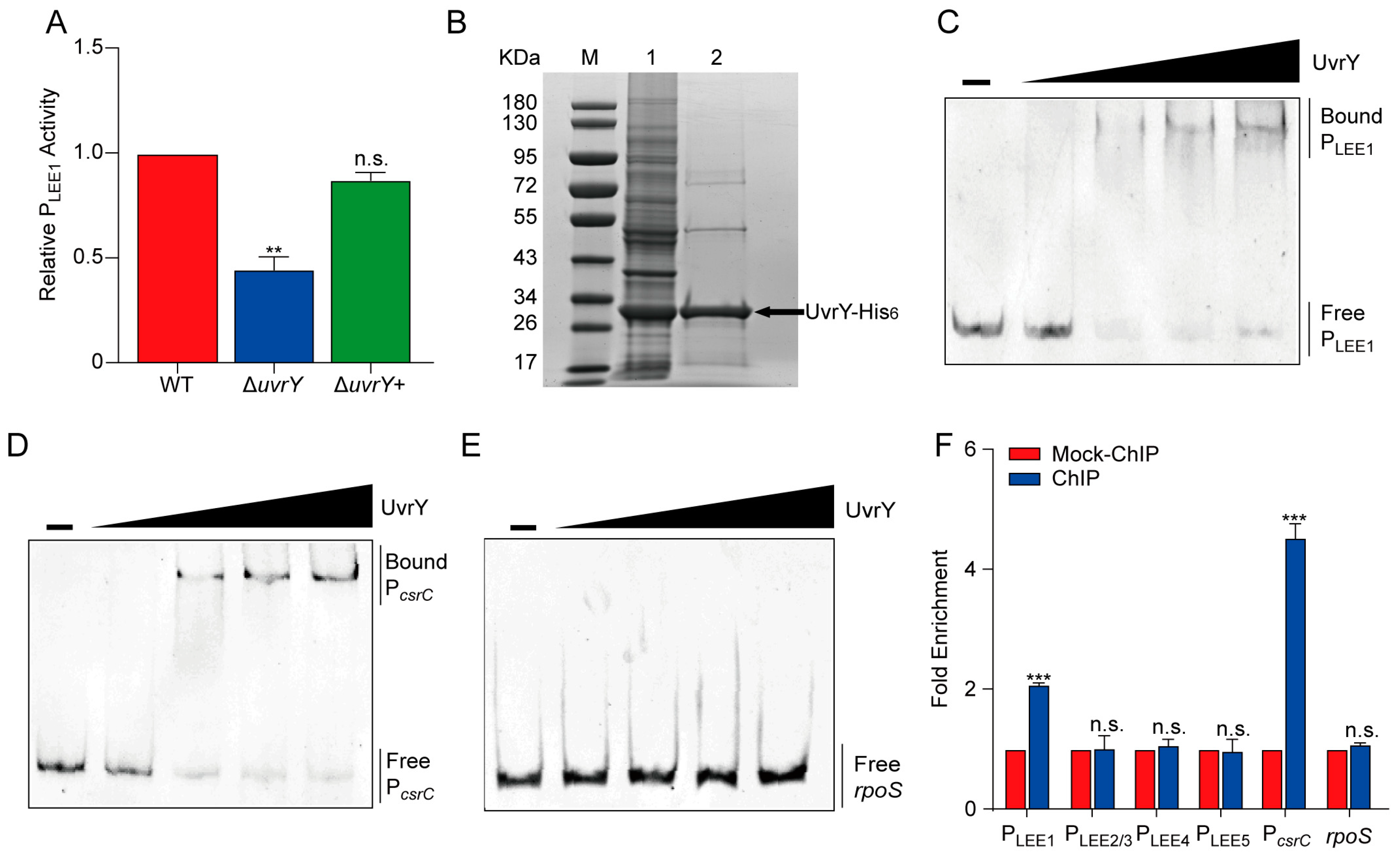 Ijms 24 02297 g004 Ijms 24 02297 g004