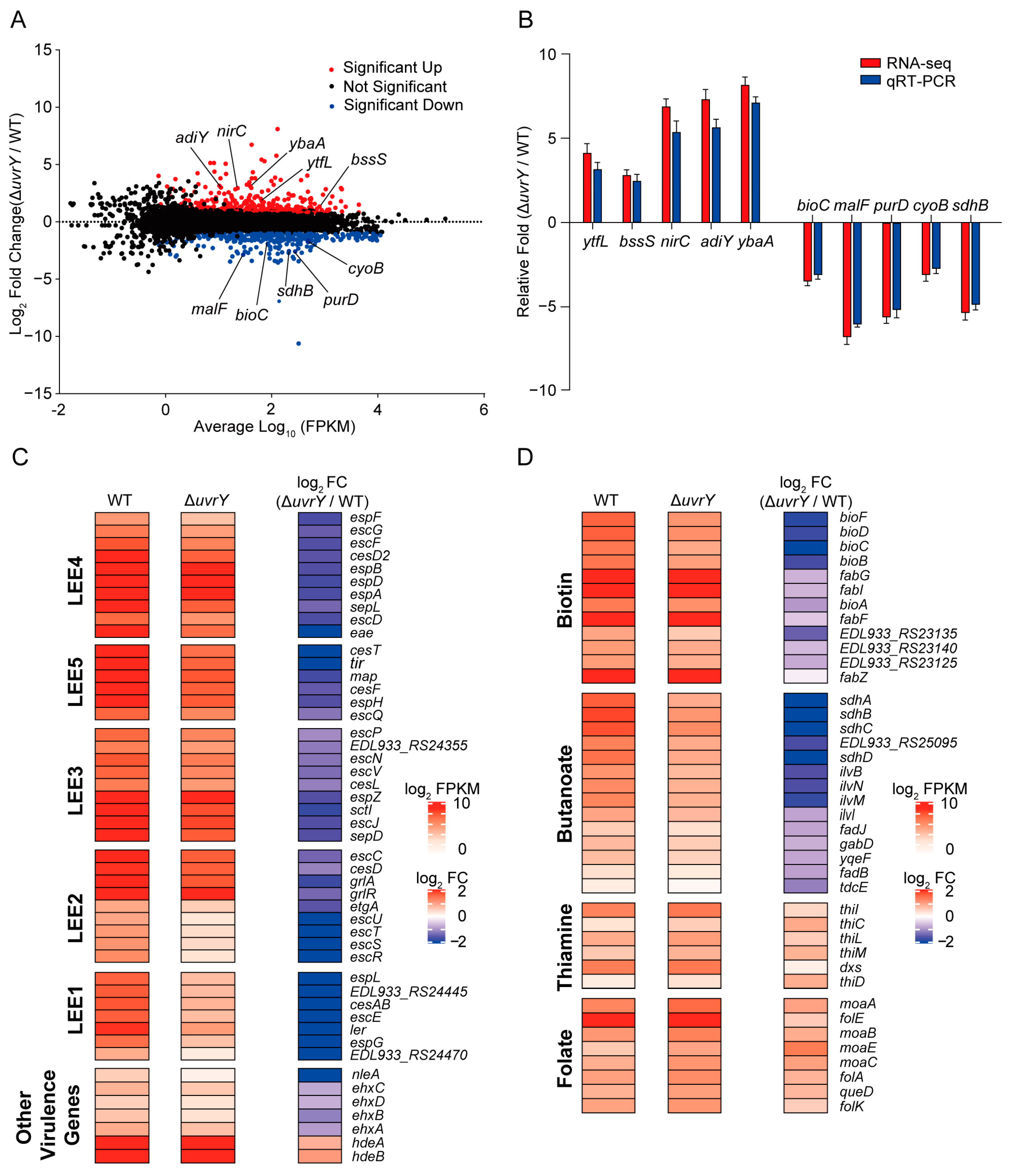 Ijms 24 02297 g005 Ijms 24 02297 g005